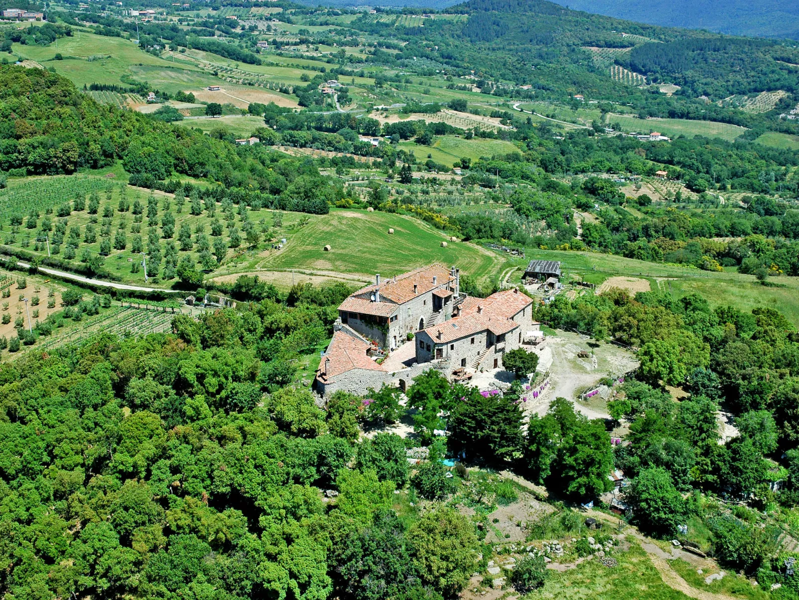 Mimosa + Torretta - Borgo la Civitella-Buiten