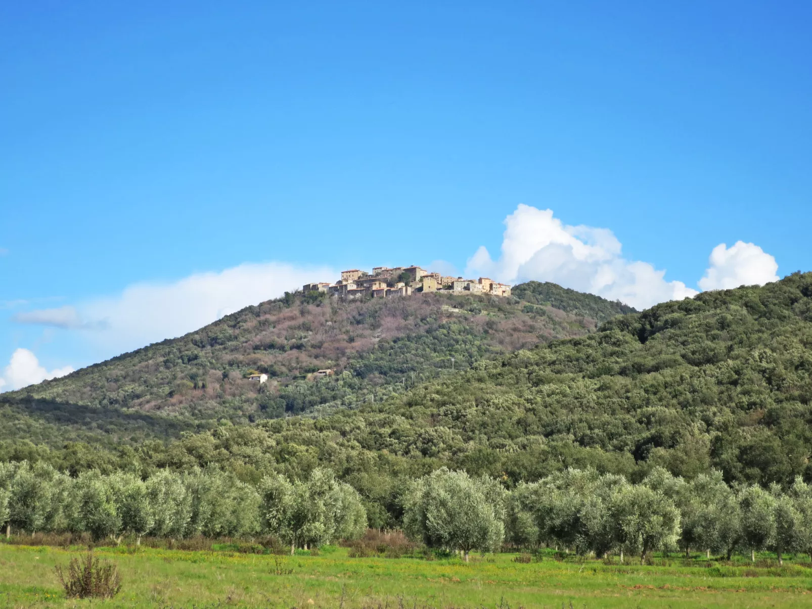 Mimosa + Torretta - Borgo la Civitella-Omgeving