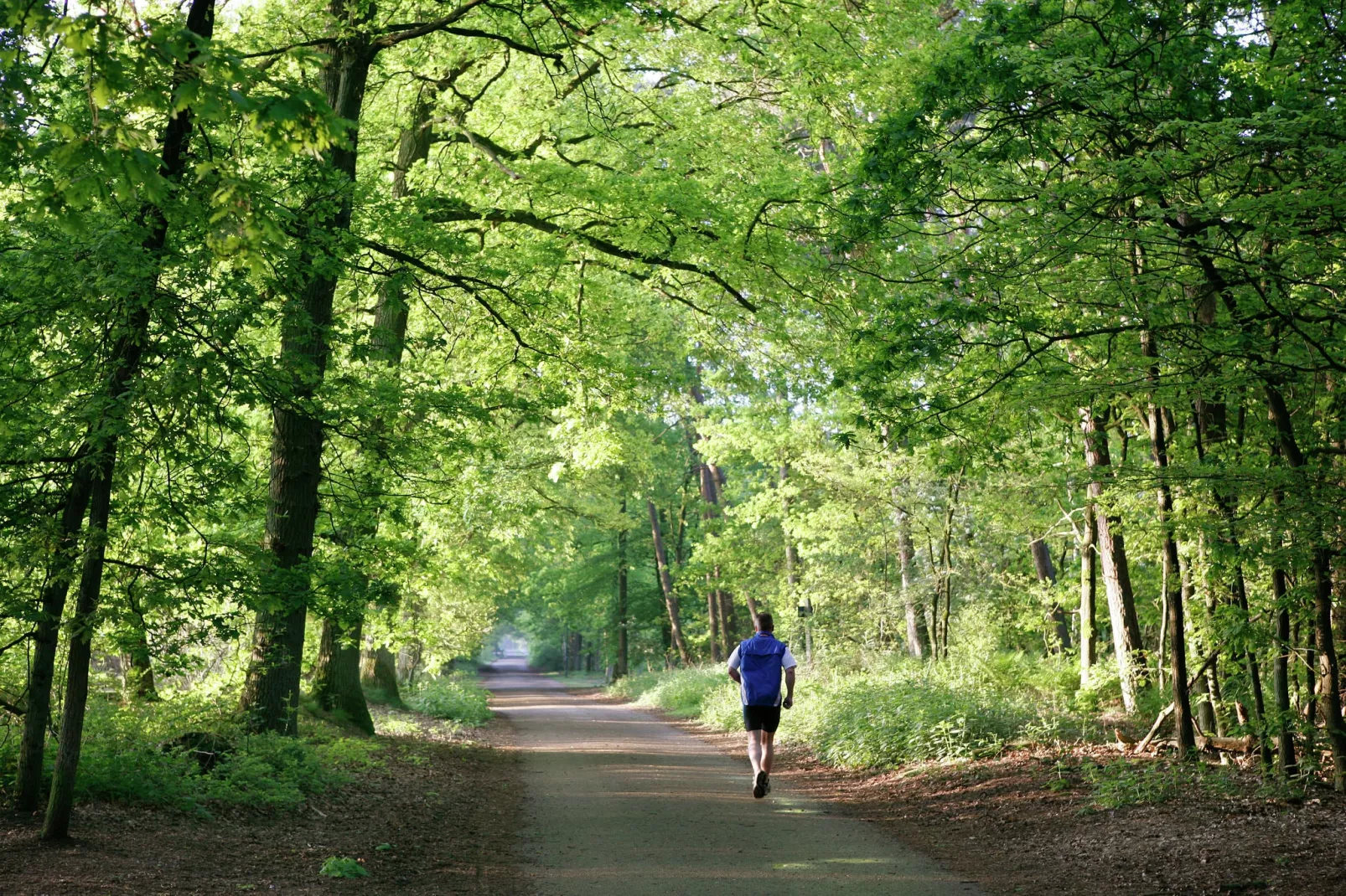 De Oude Boerderij-Gebieden zomer 1km