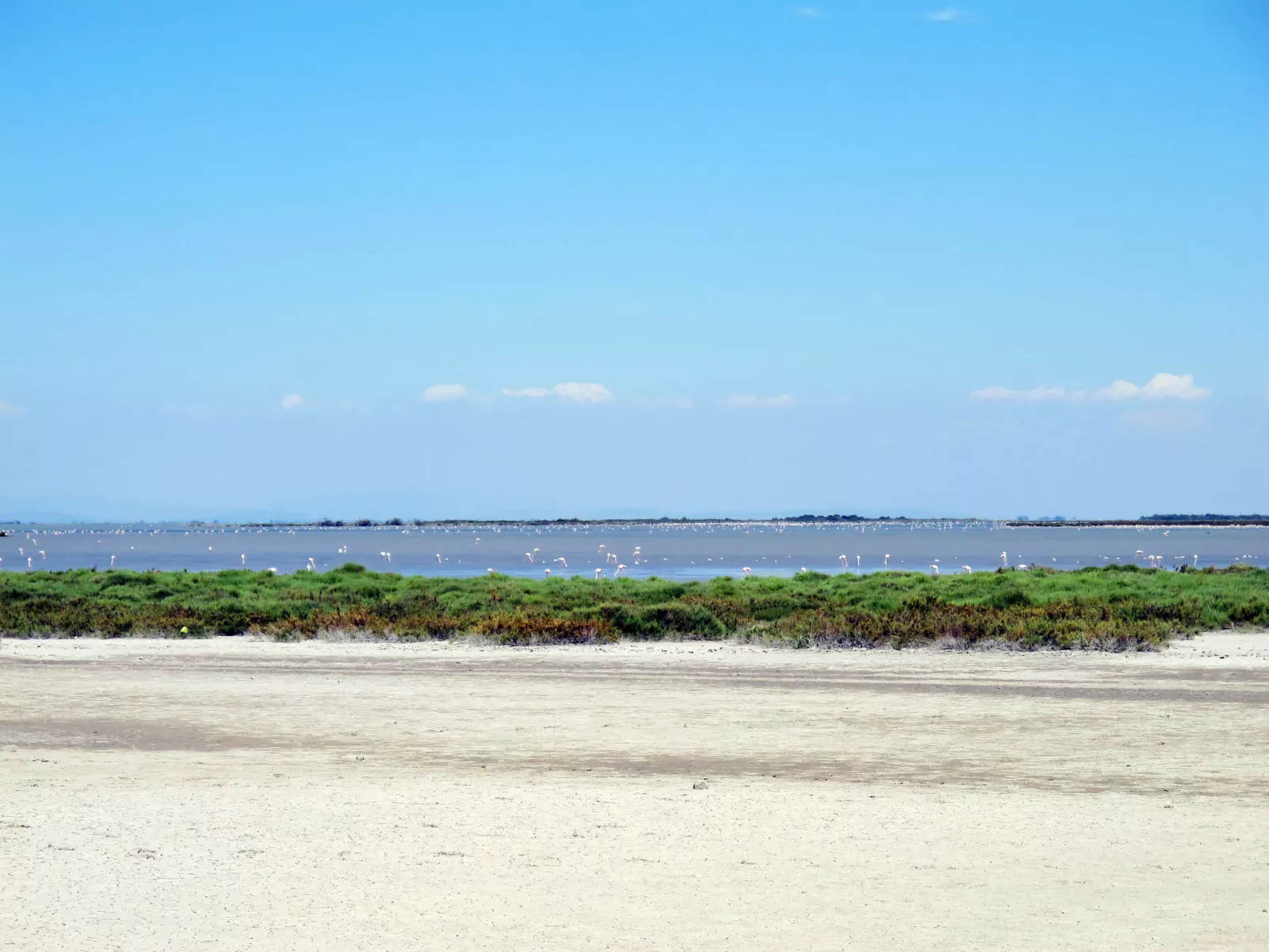 Camargue Village-Omgeving