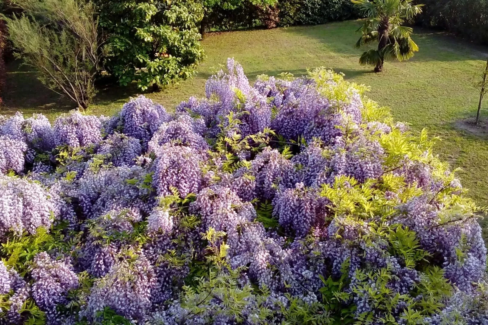 Villetta Pastrengo 1-Tuinen zomer