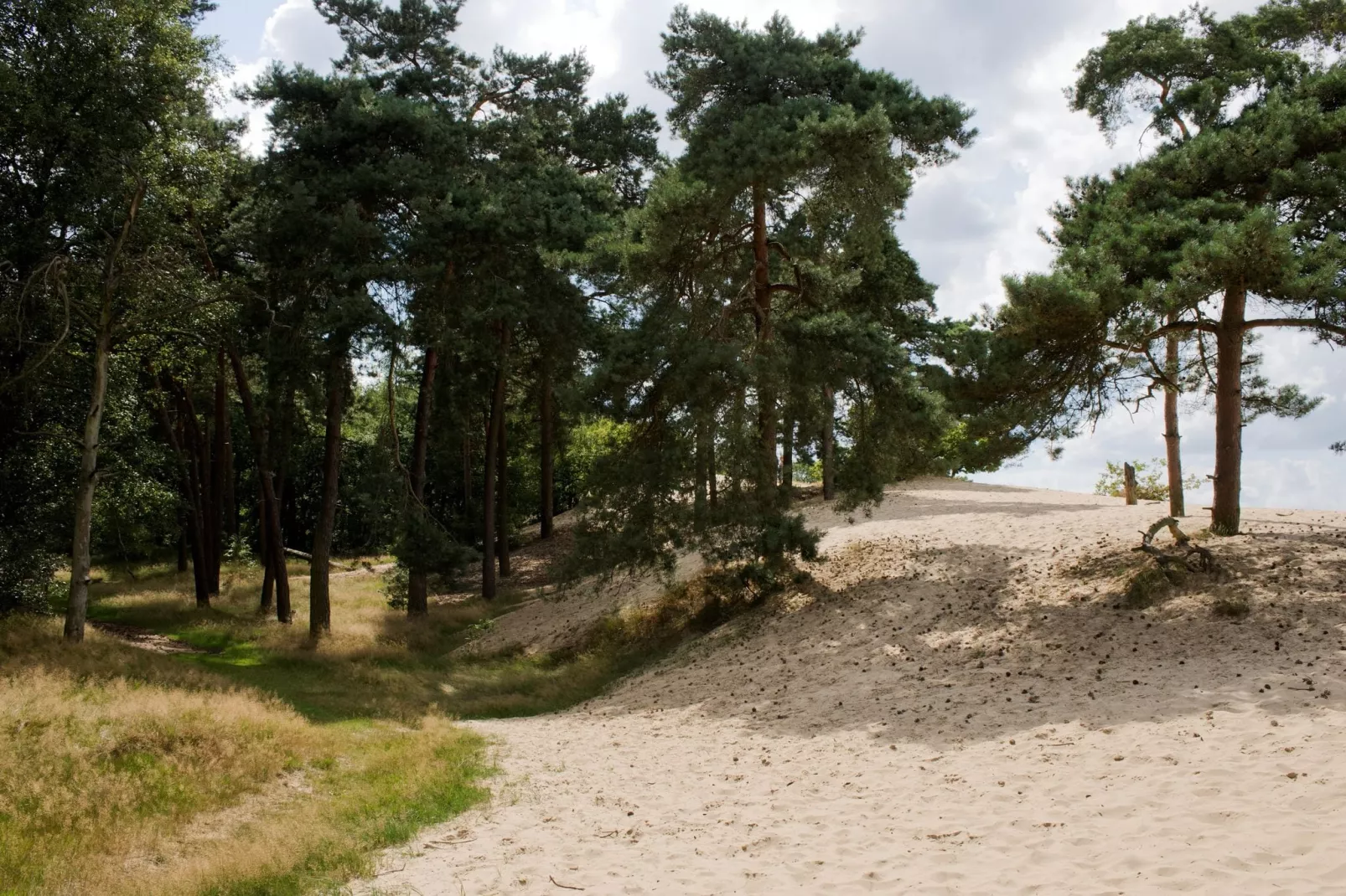 Recreatiepark Duinhoeve 3-Gebieden zomer 1km