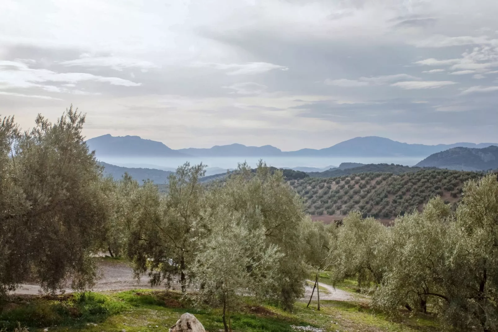 Cortijo Rural Puerto Nuevo-Uitzicht zomer