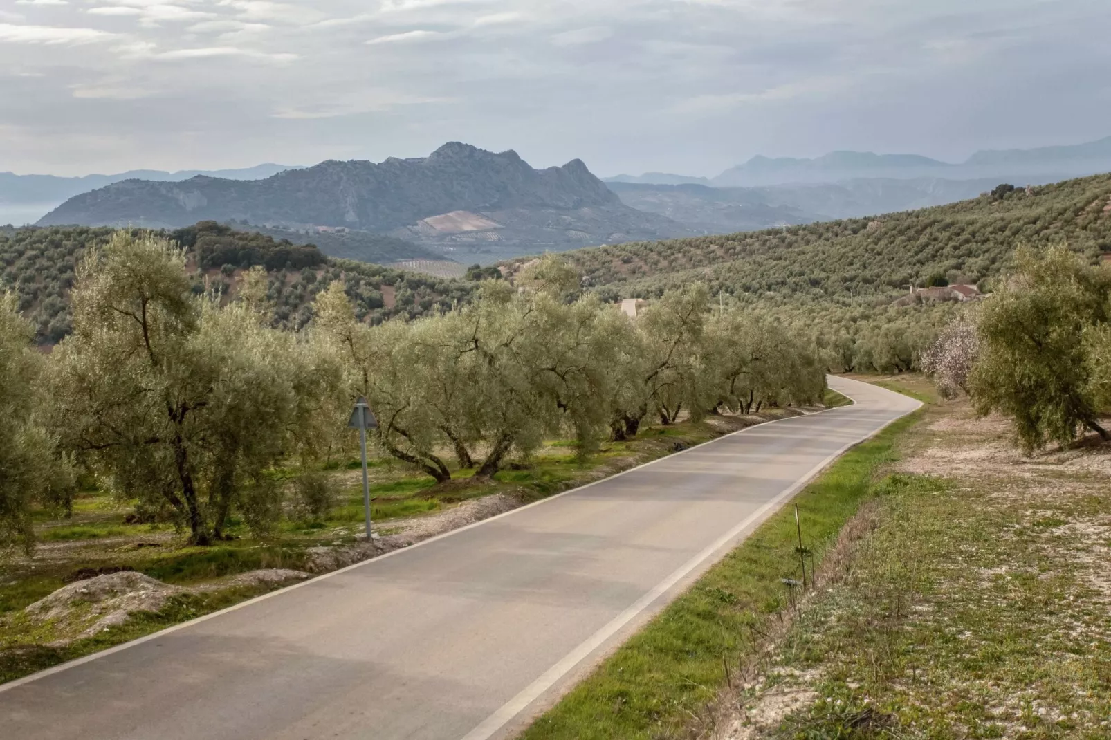 Cortijo Rural Puerto Nuevo-Uitzicht zomer