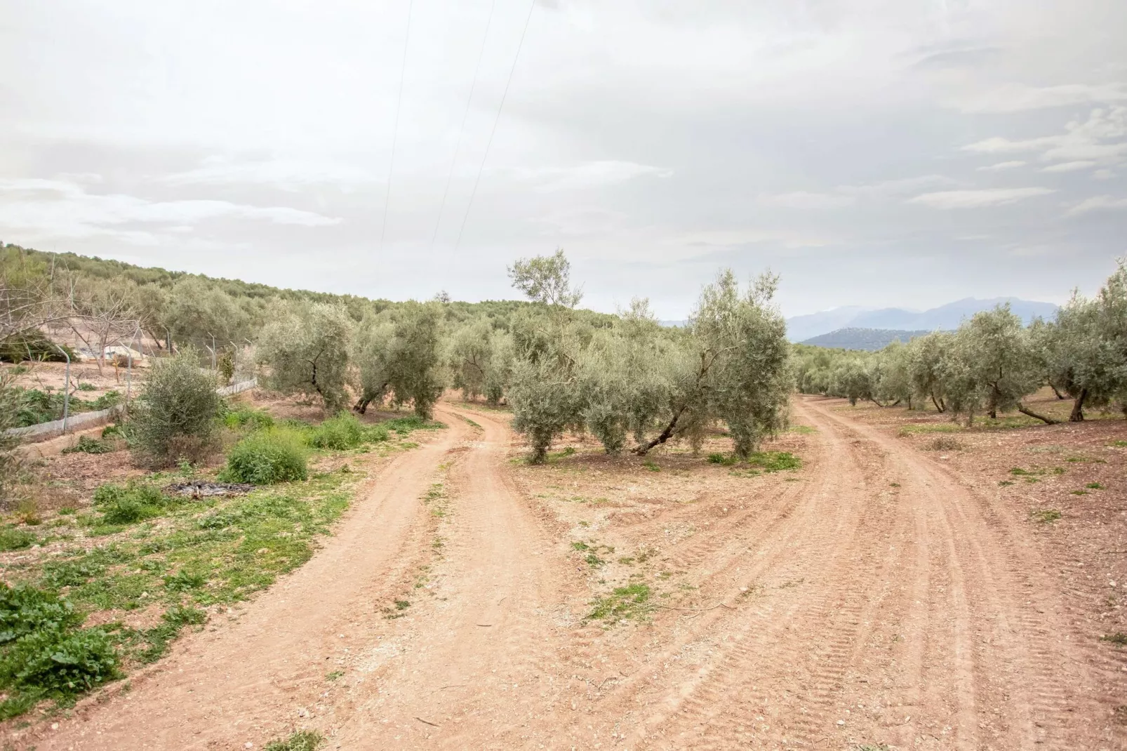 Cortijo Rural Puerto Nuevo-Gebieden zomer 5km