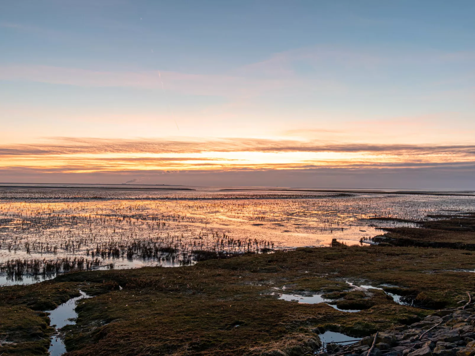 Ebbe-Omgeving