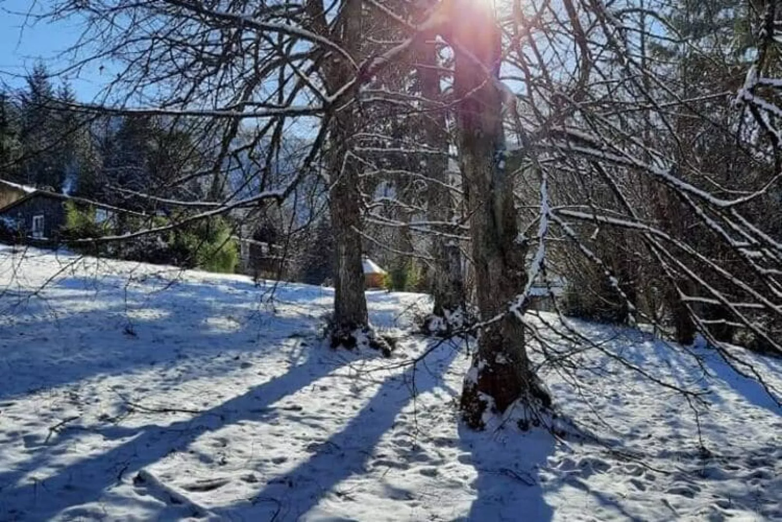 LA MAISON DU GARDIEN-Gebied winter 1km