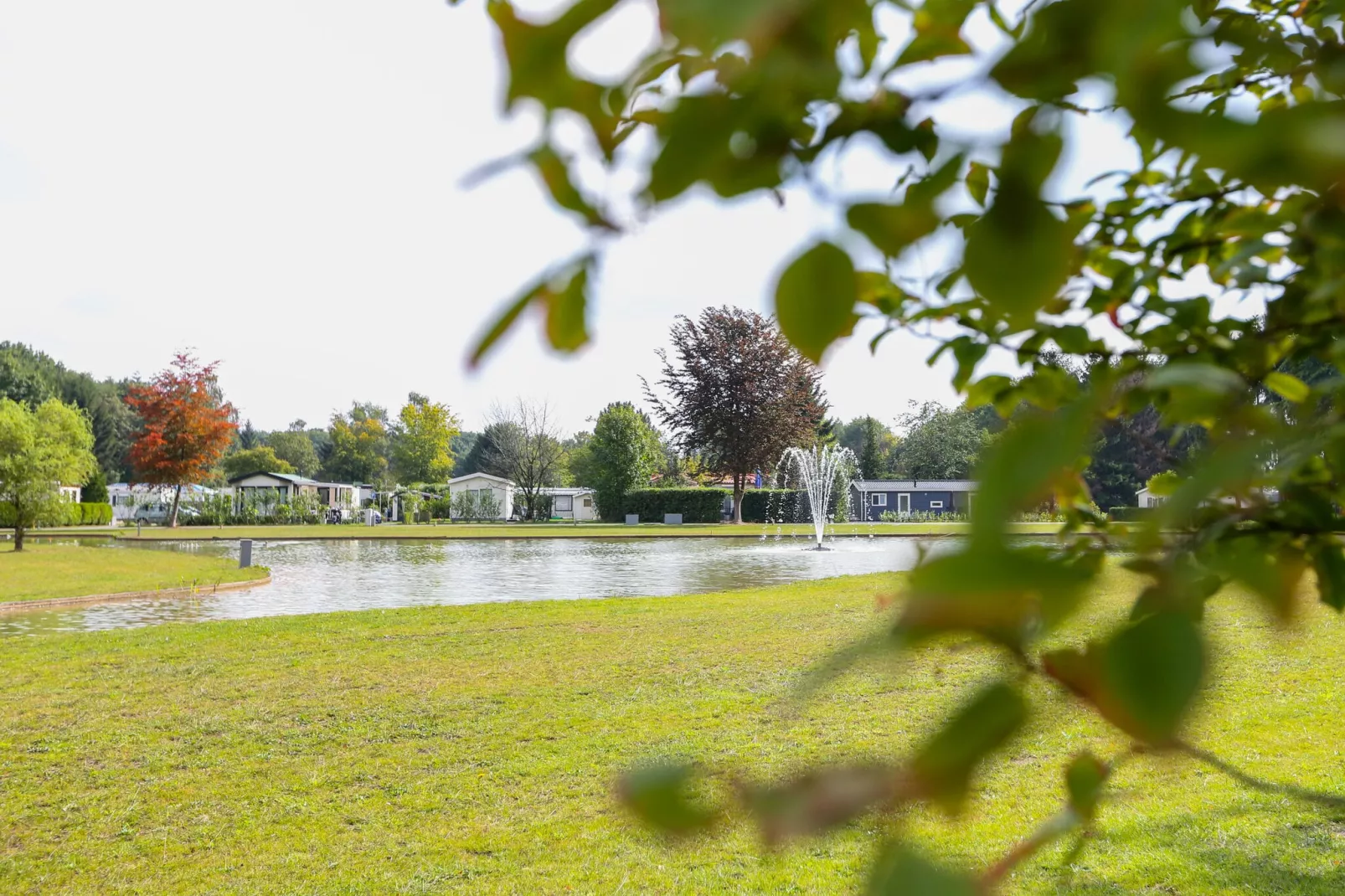 Vakantiepark Molenvelden 4-Gebieden zomer 1km