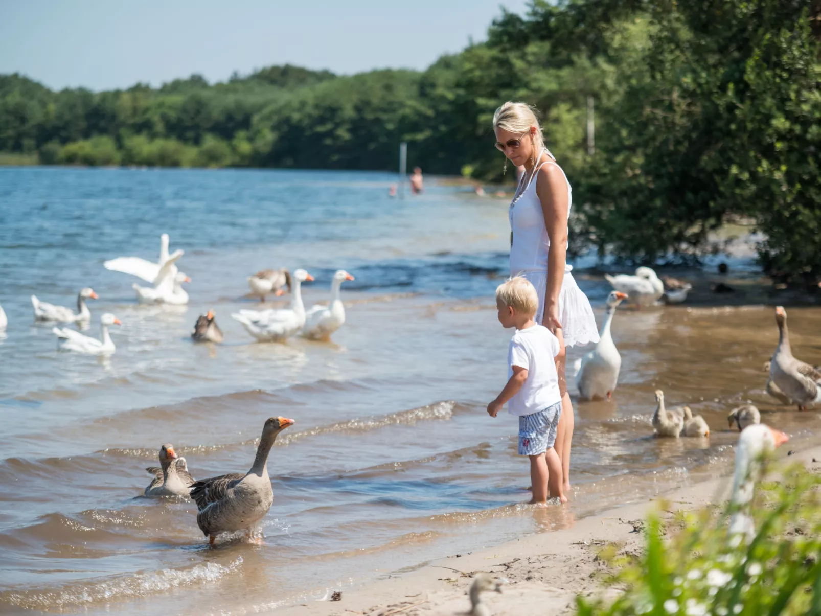 Sunparks Kempense Meren-Buiten