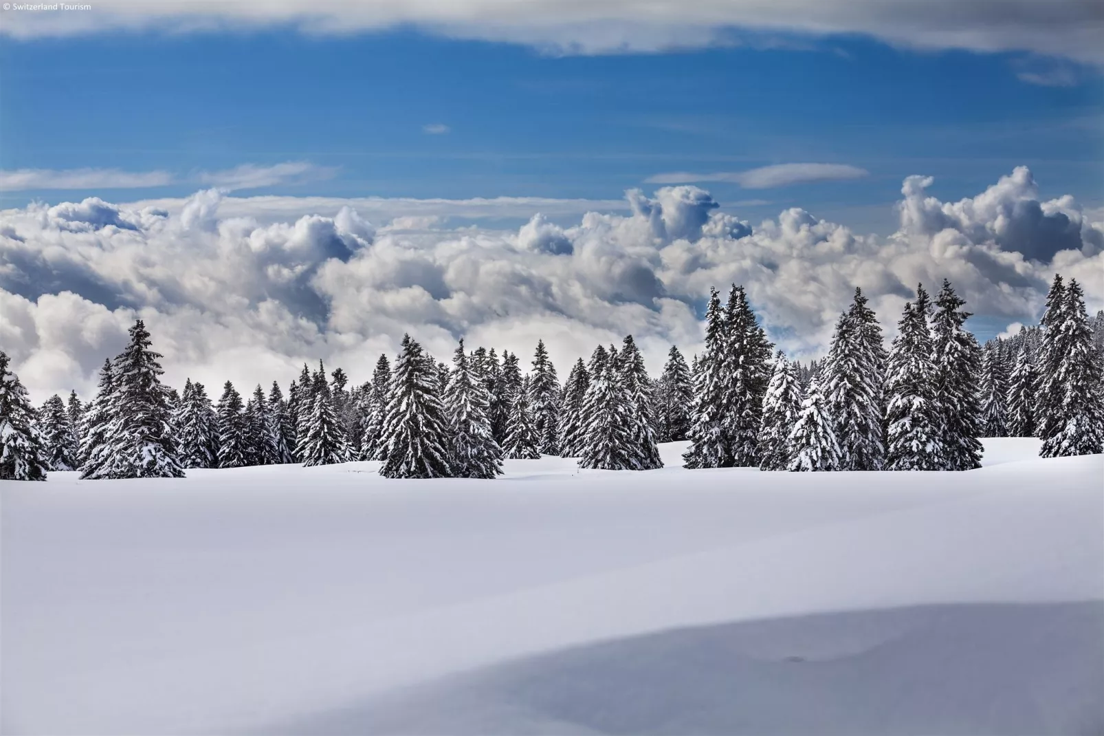 Chalet Abendruh-Gebied winter 20km