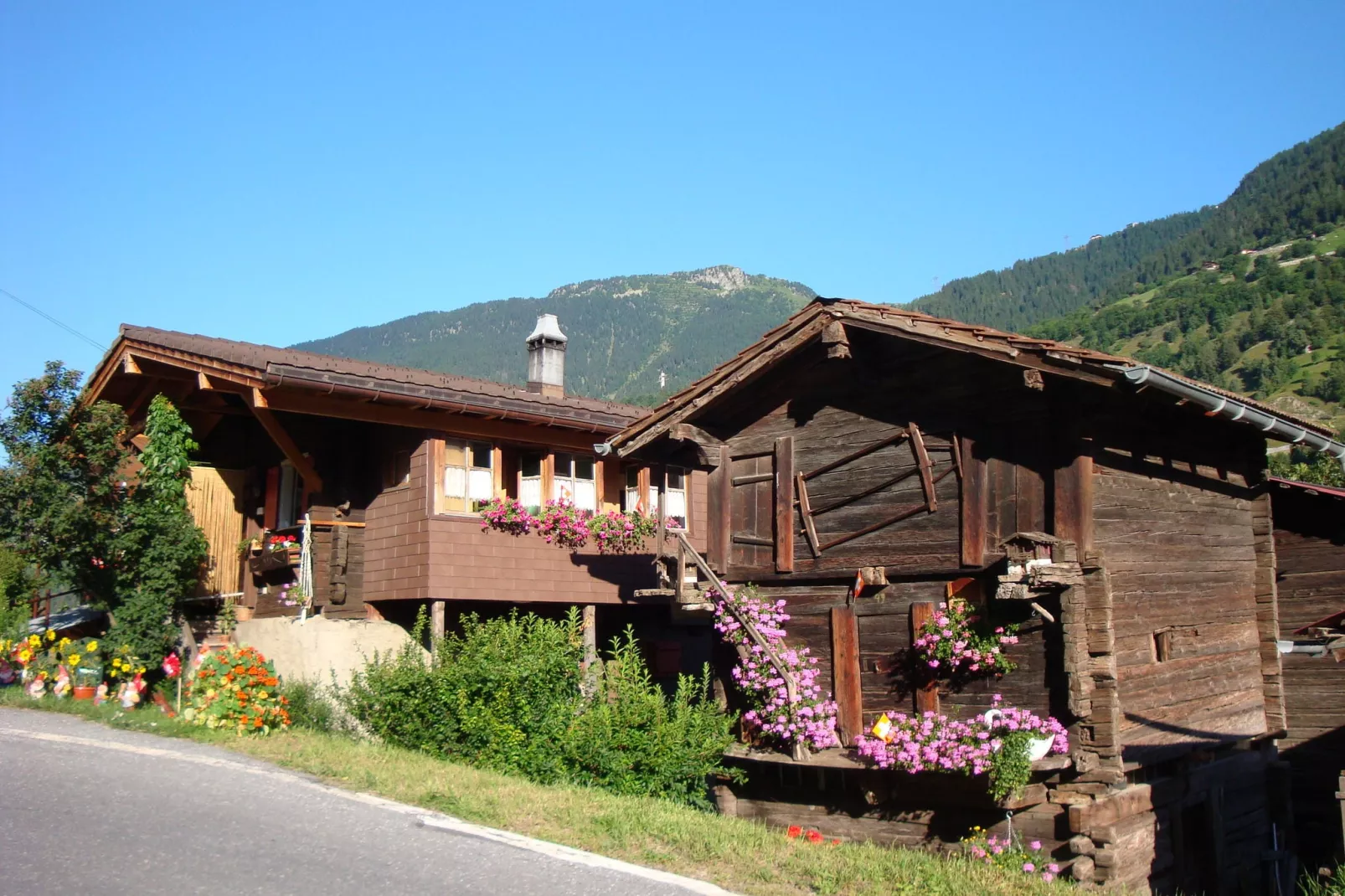 Chalet Abendruh-Uitzicht zomer