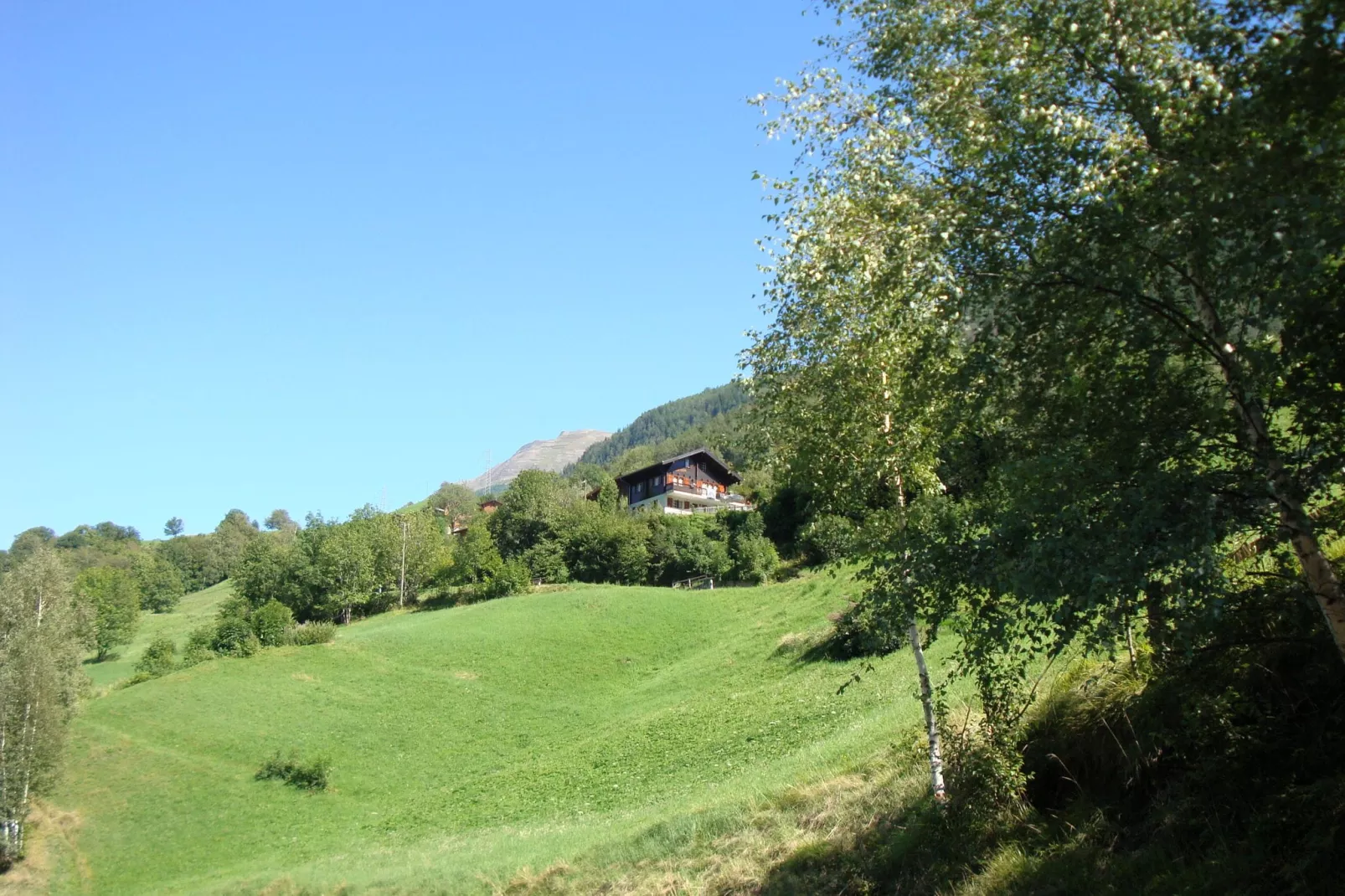 Chalet Abendruh-Uitzicht zomer