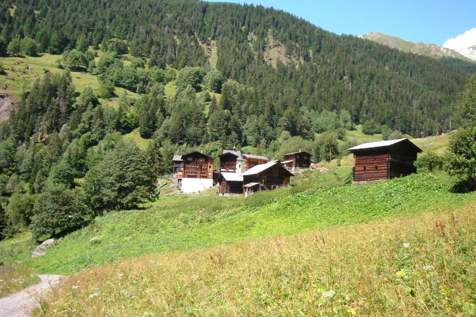 Chalet Abendruh-Gebieden zomer 1km