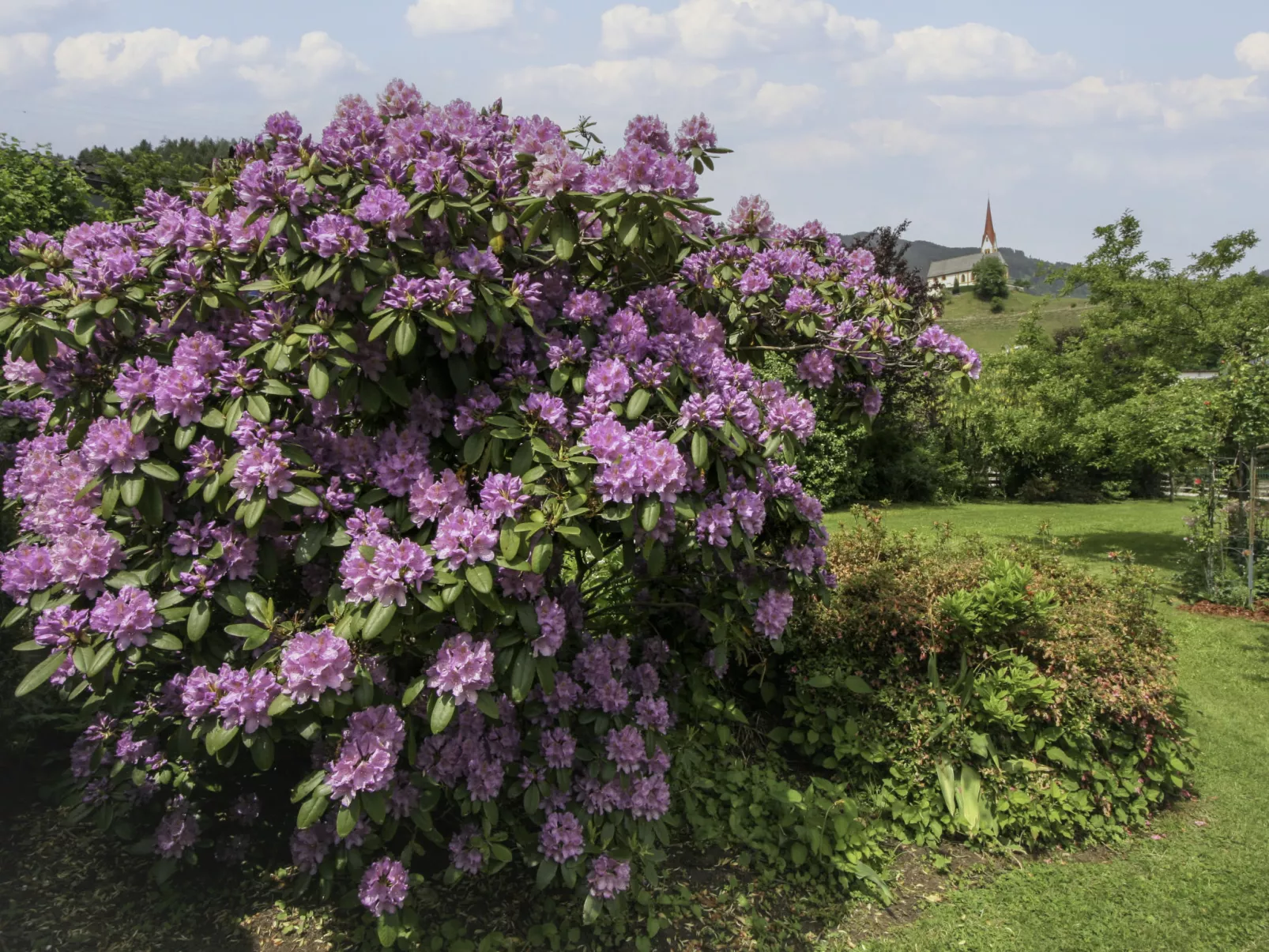 Penz-Buiten