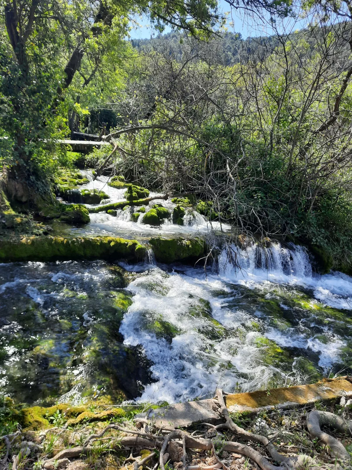 Grebastica-Omgeving