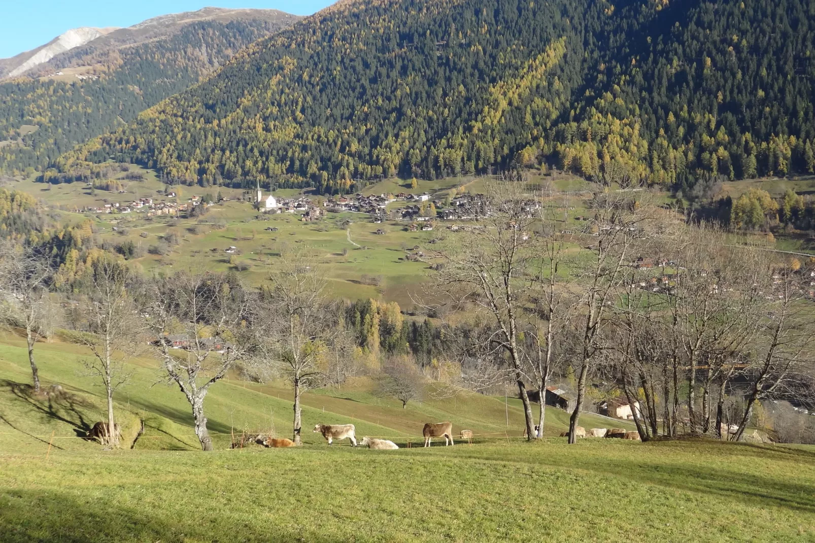 Chalet Rivendell-Uitzicht zomer