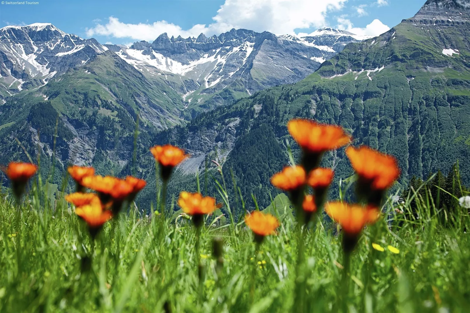 Chalet Rivendell-Gebieden zomer 20km