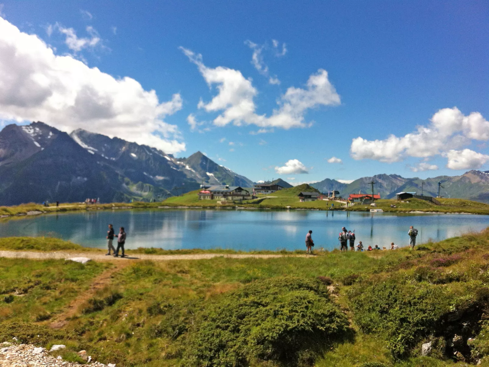 Edelweiss-Omgeving