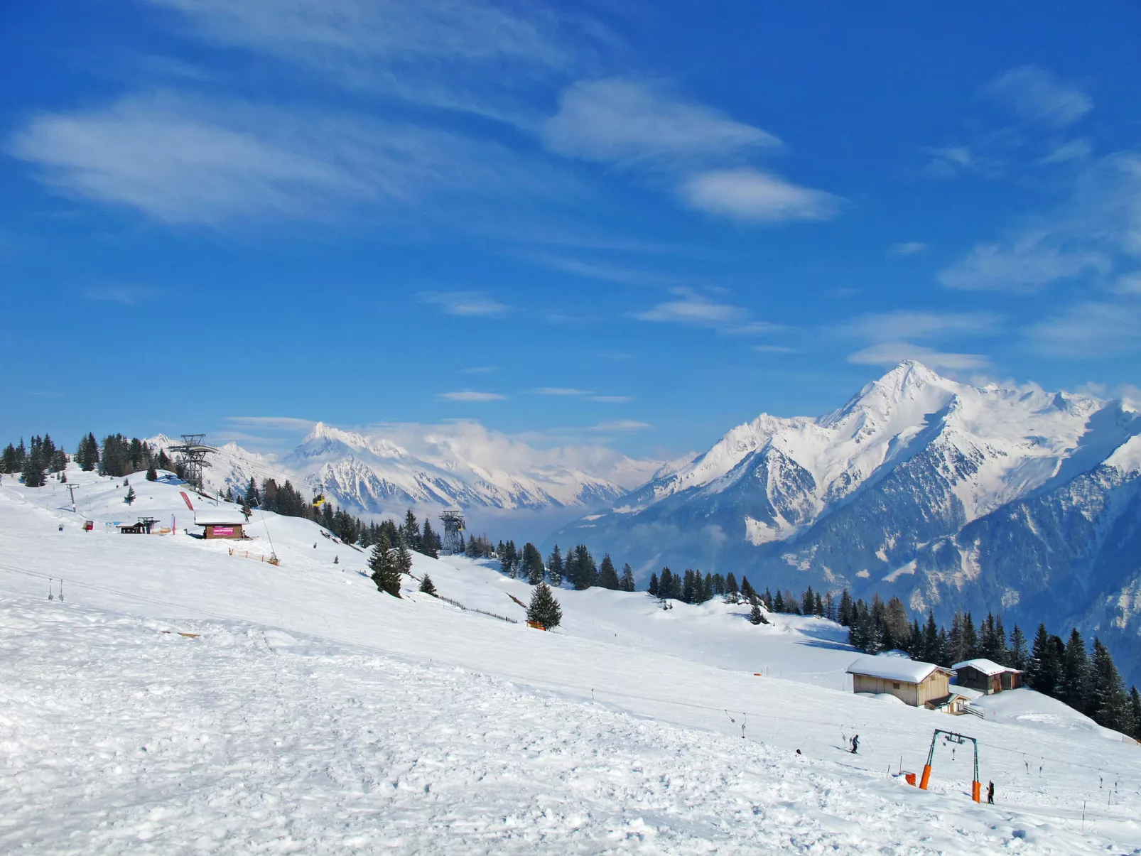 Edelweiss-Omgeving