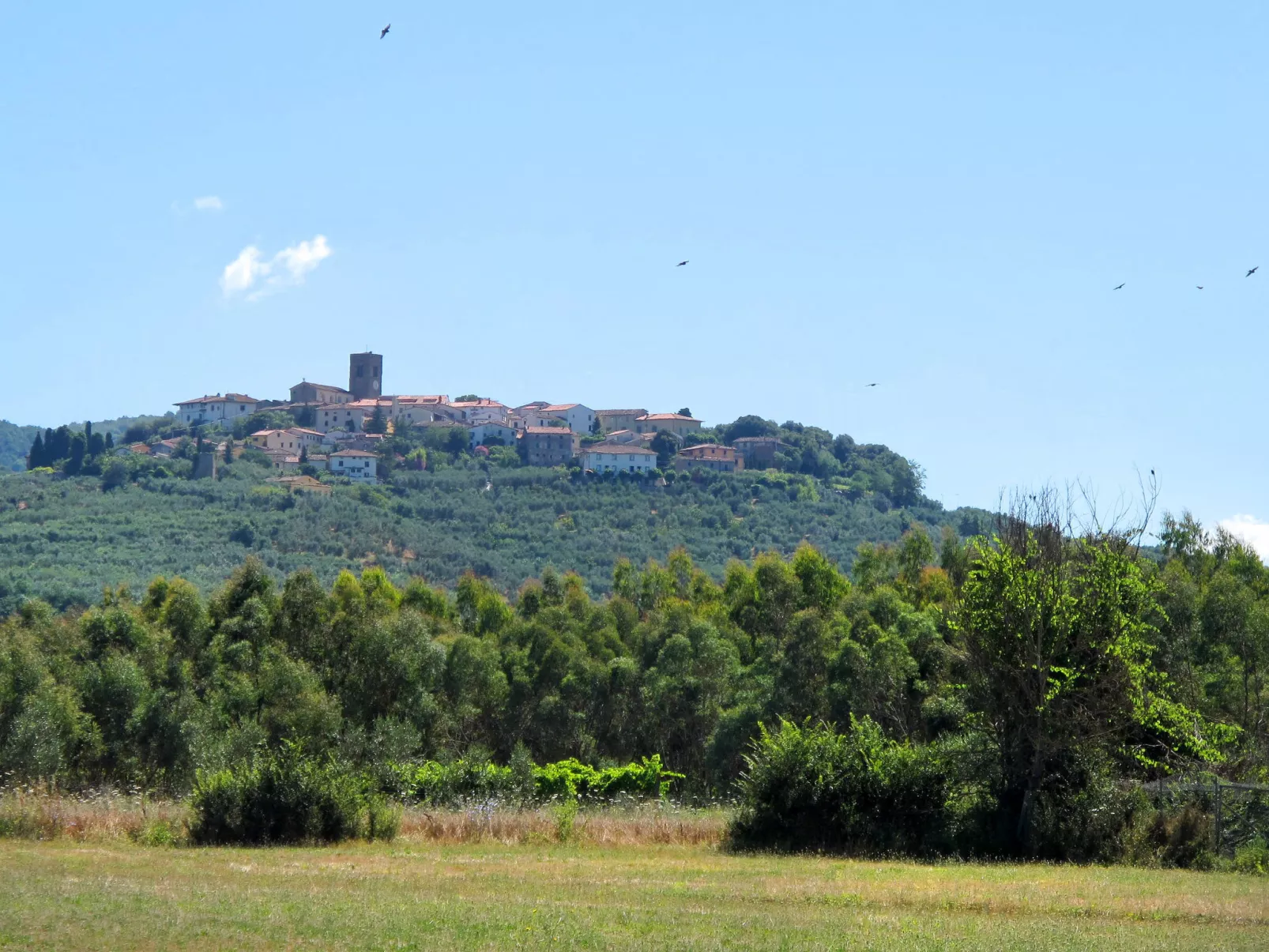 Tenuta San Lazzaro-Buiten