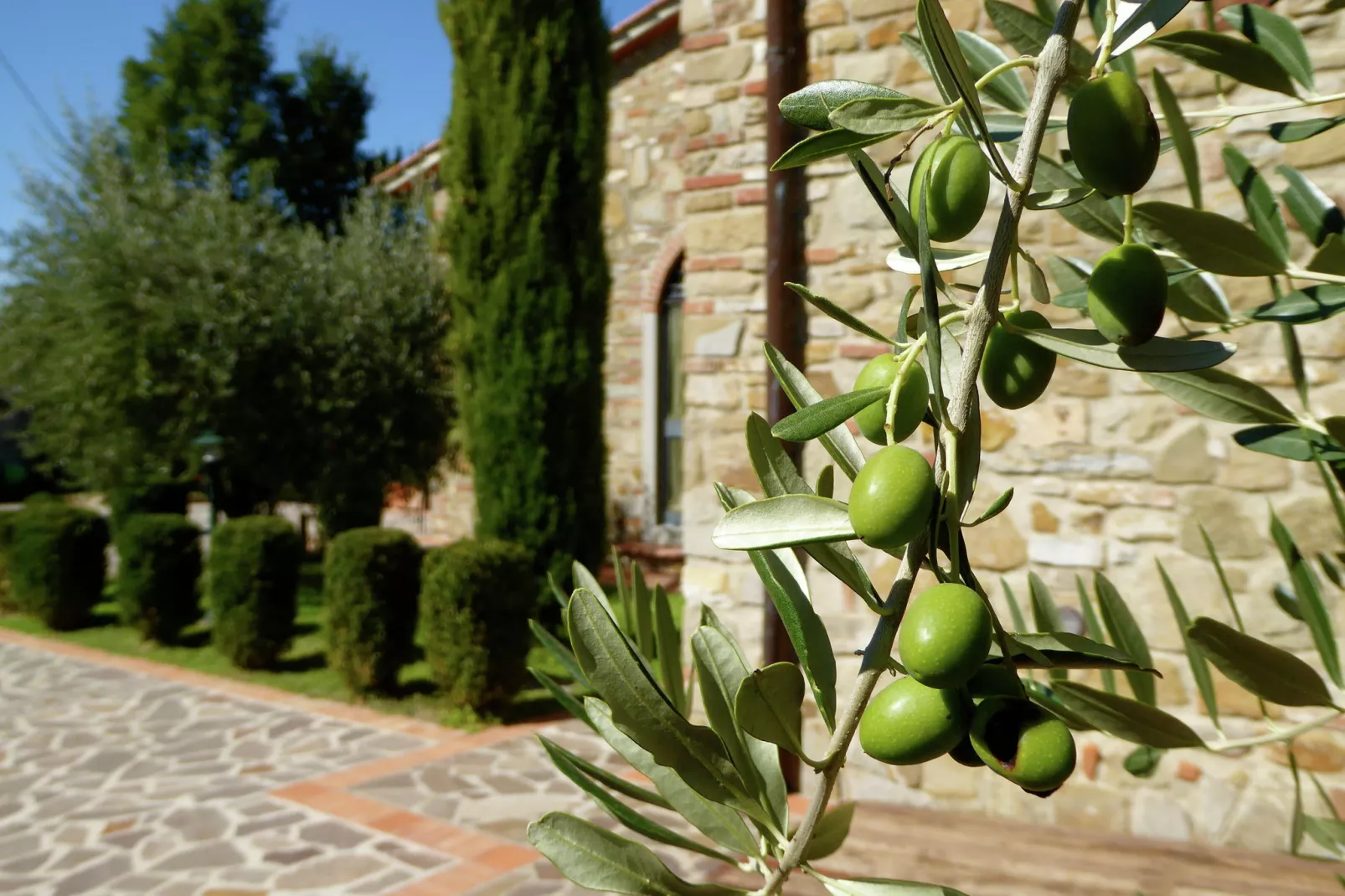 Quercia Undici-Sfeer