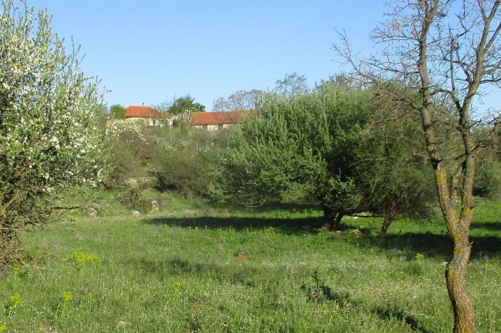 Arcadian Stone House-Tuinen zomer