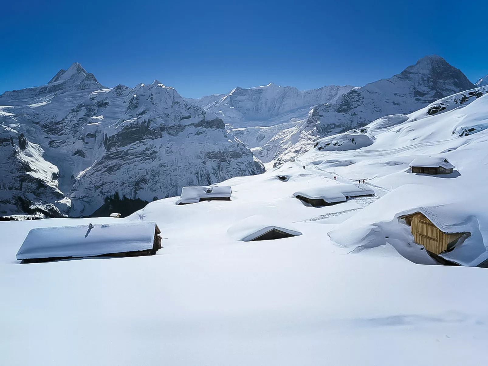 Chalet Desirée-Omgeving