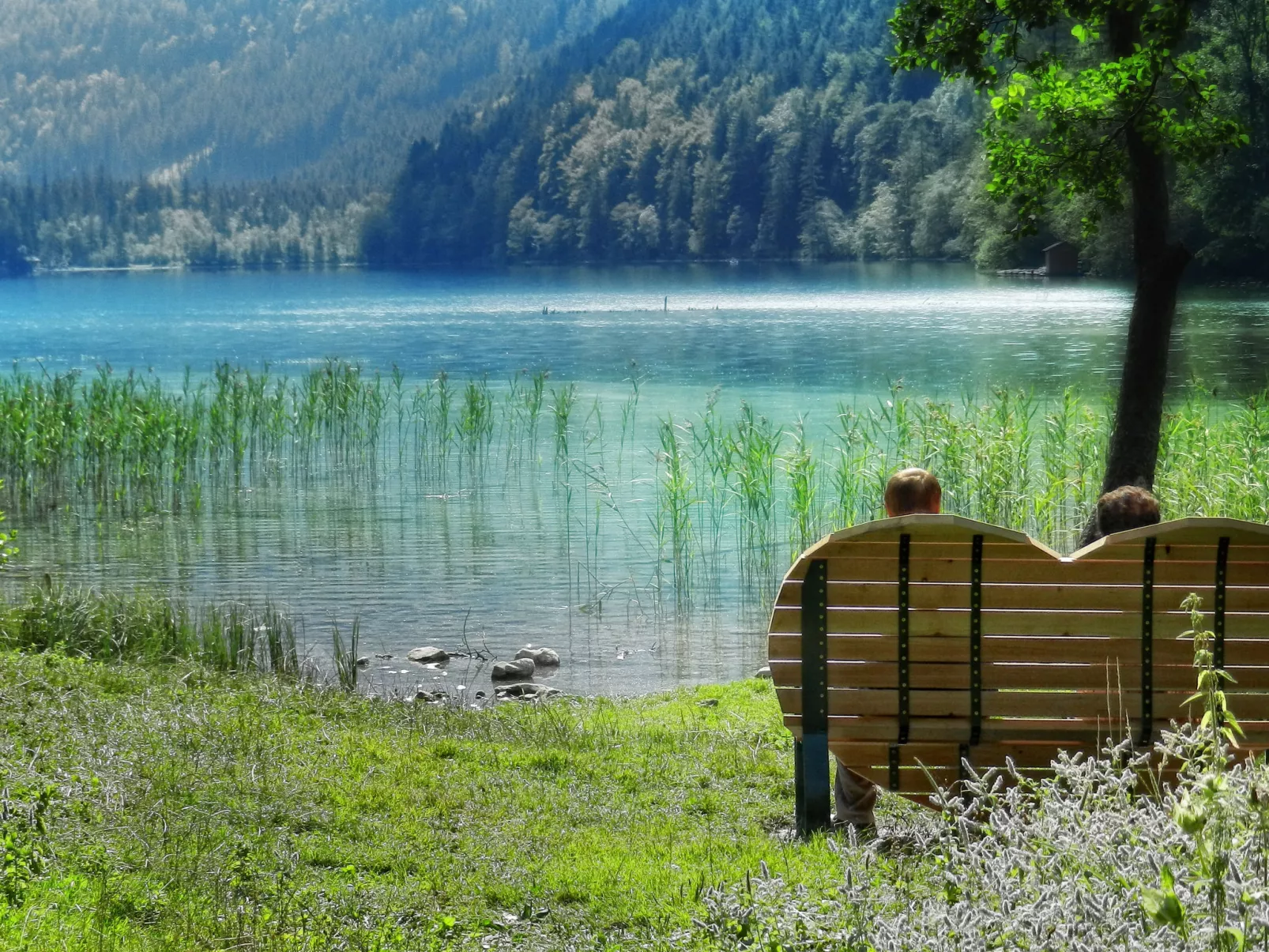 Für bis zu 8 Personen mit IR Sauna-Omgeving