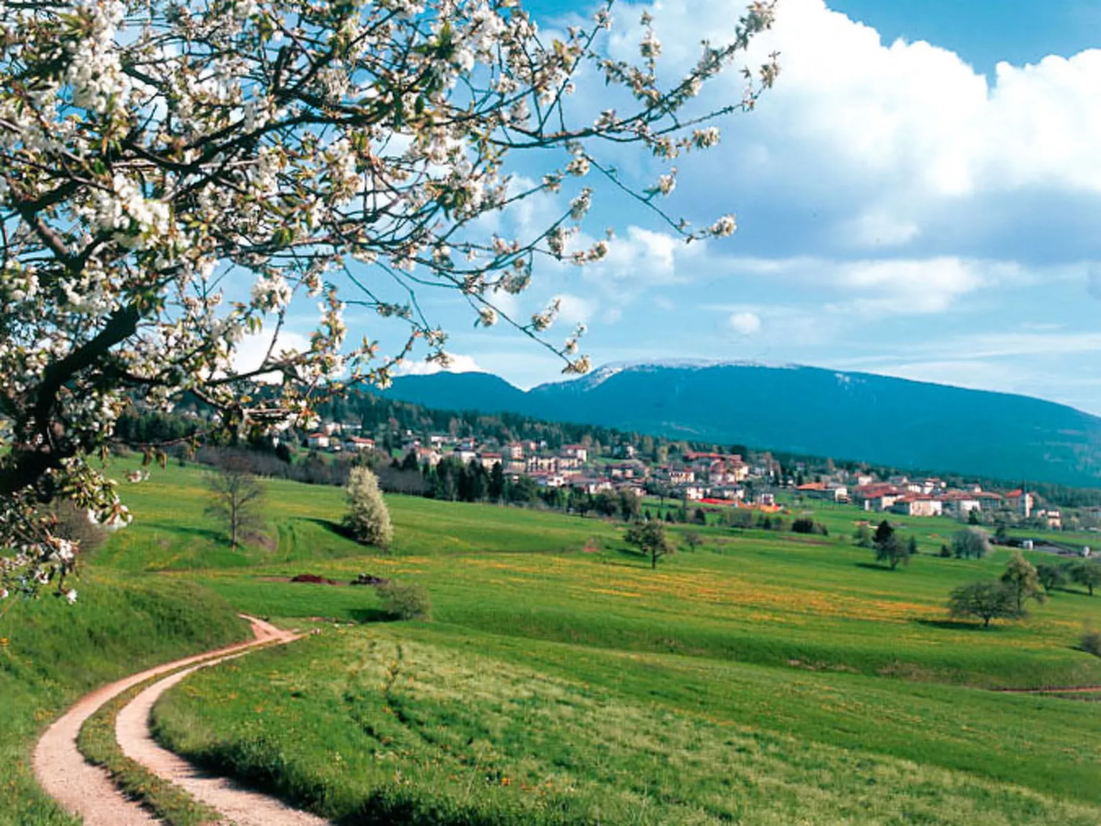 Pensione Villa Belfiore-Buiten