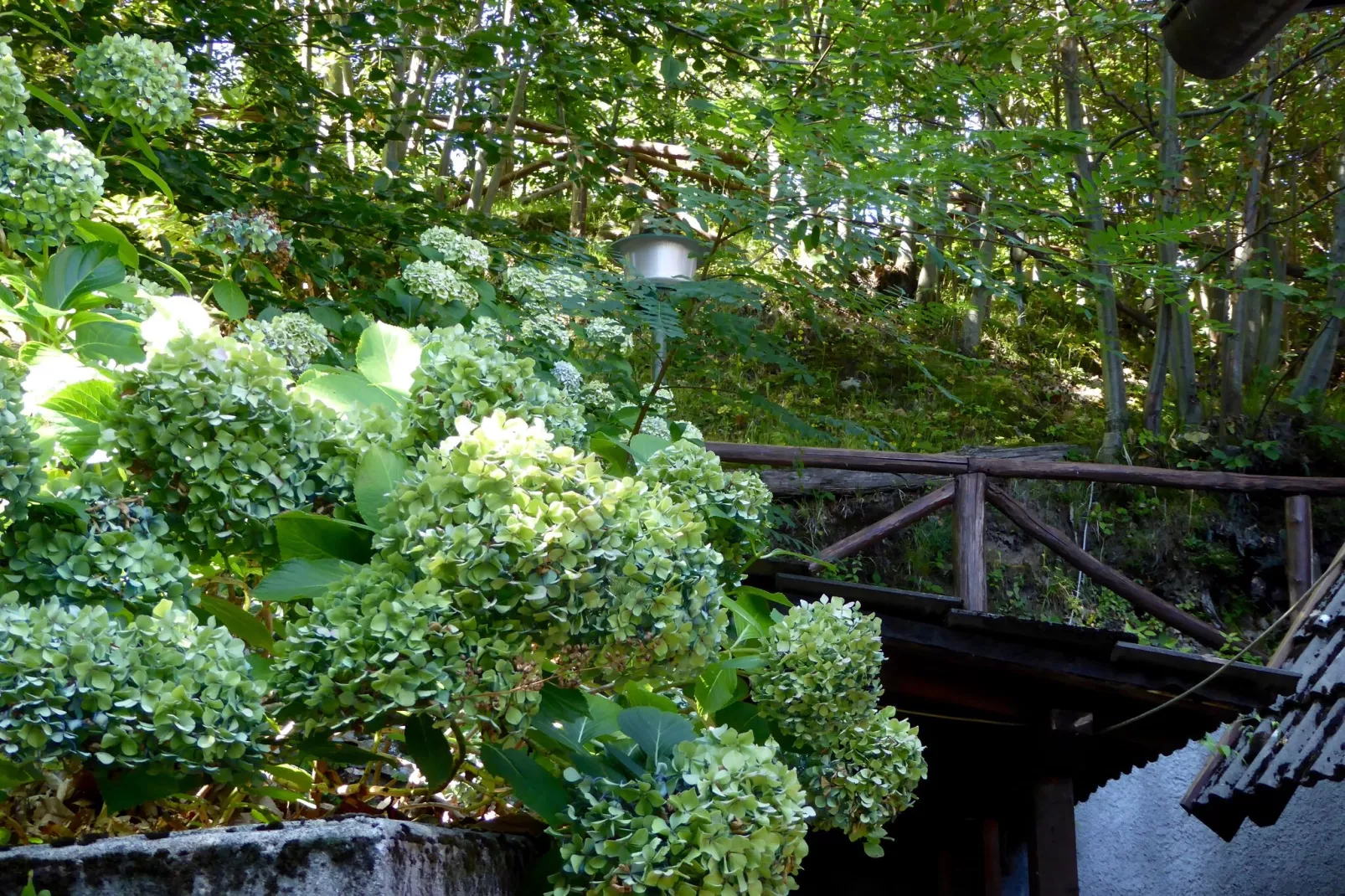 Chalet Appennino-Tuinen zomer