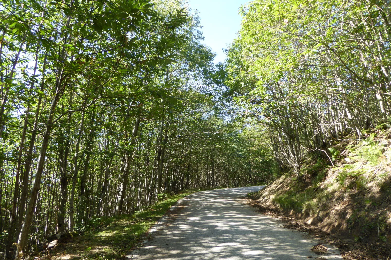 Chalet Appennino-Gebieden zomer 1km