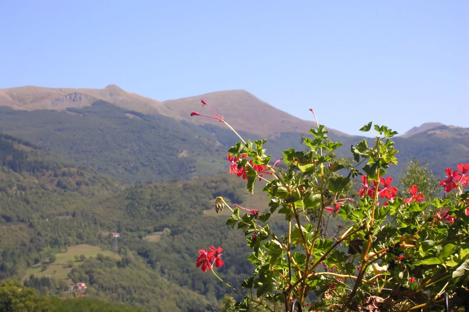 Chalet Appennino-Gebieden zomer 1km