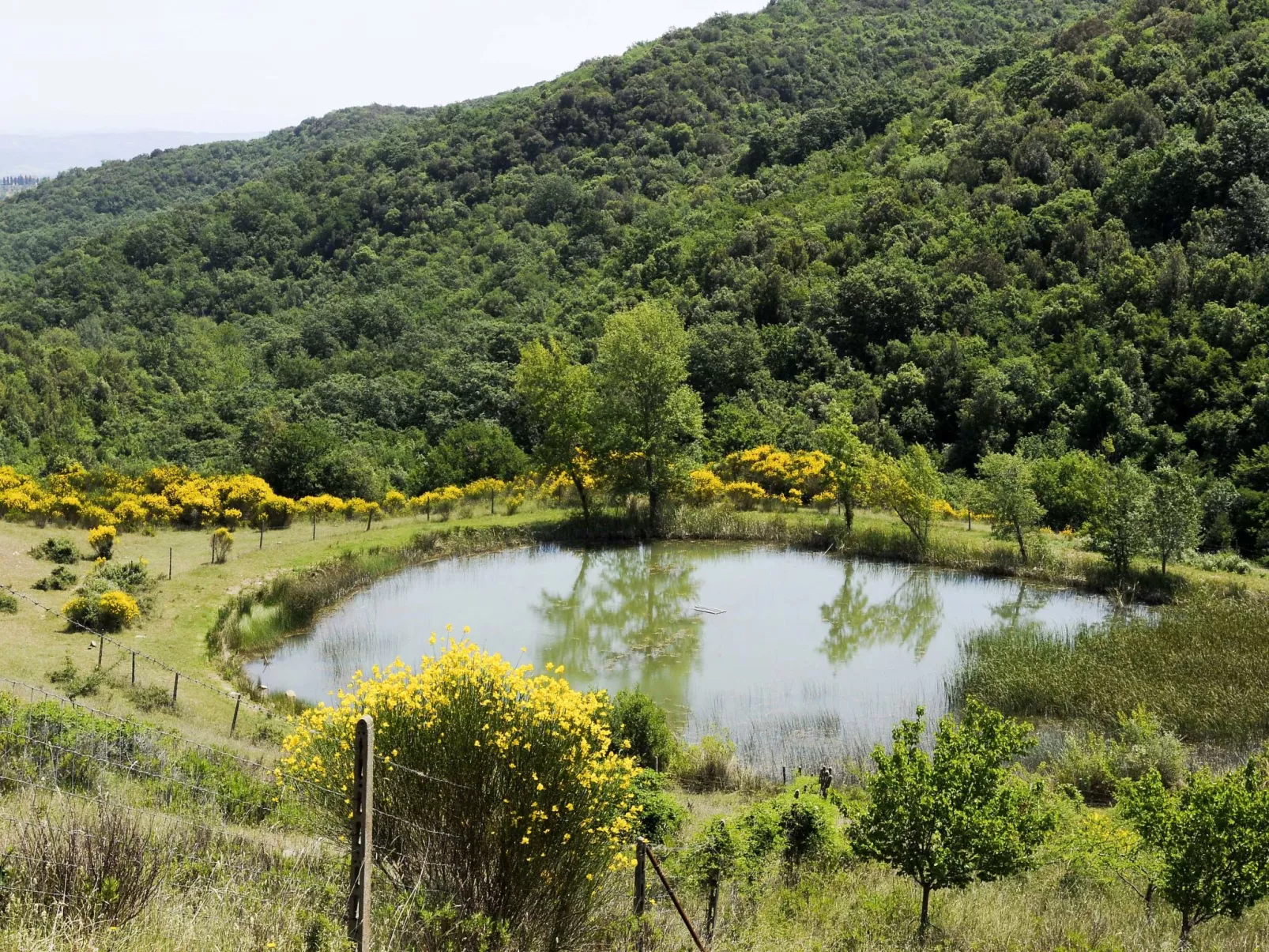 La Grotta dell'Eremita-Buiten