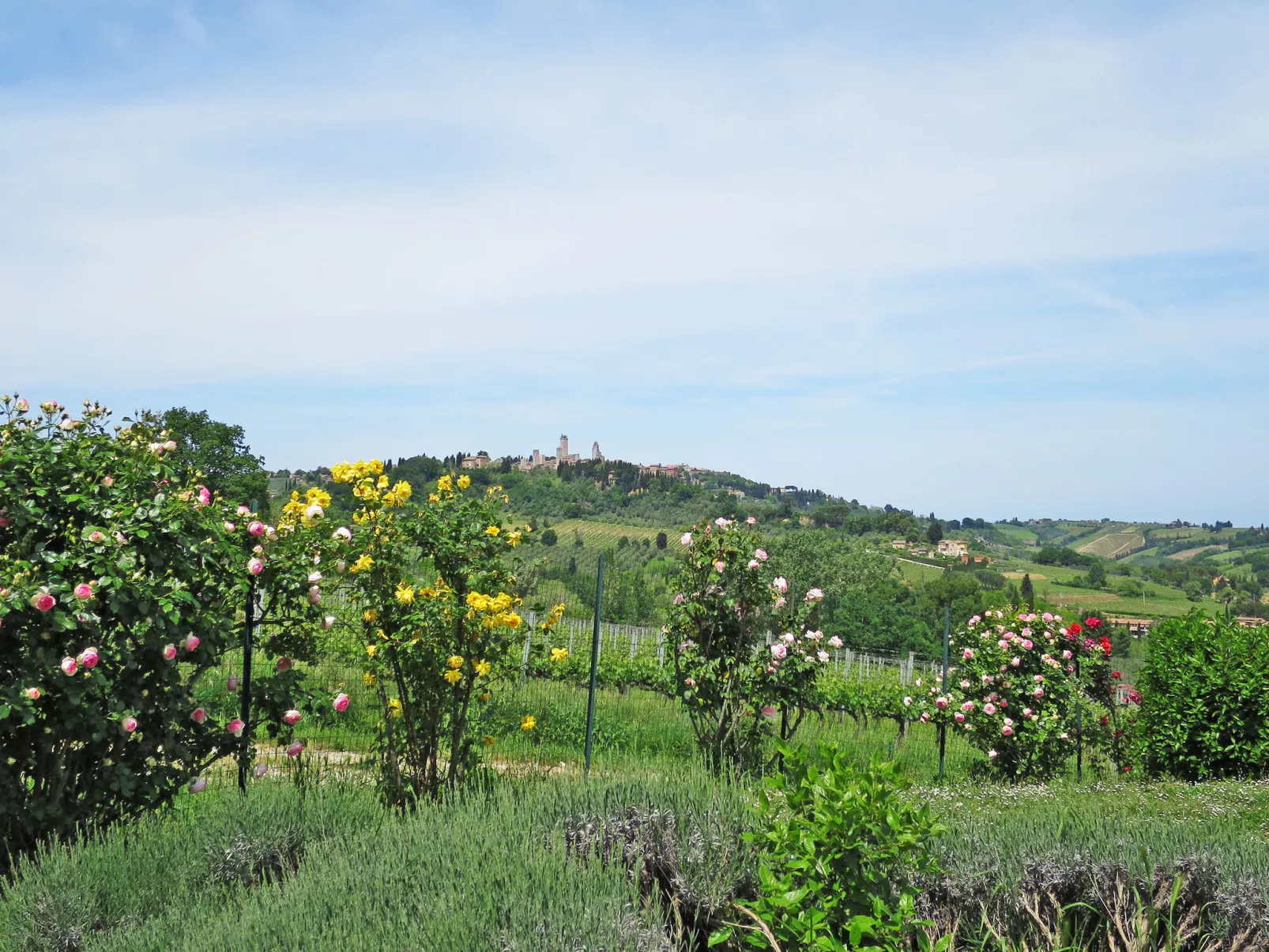 Le Fonti di Santa Lucia-Buiten