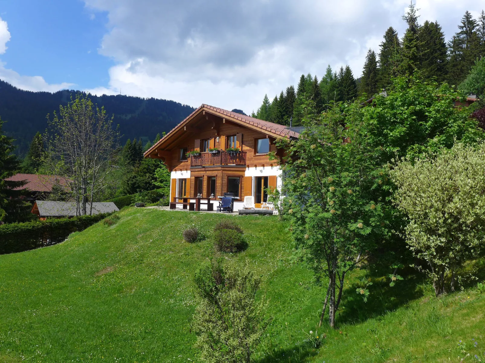 Chalet Petit Pont-Buiten