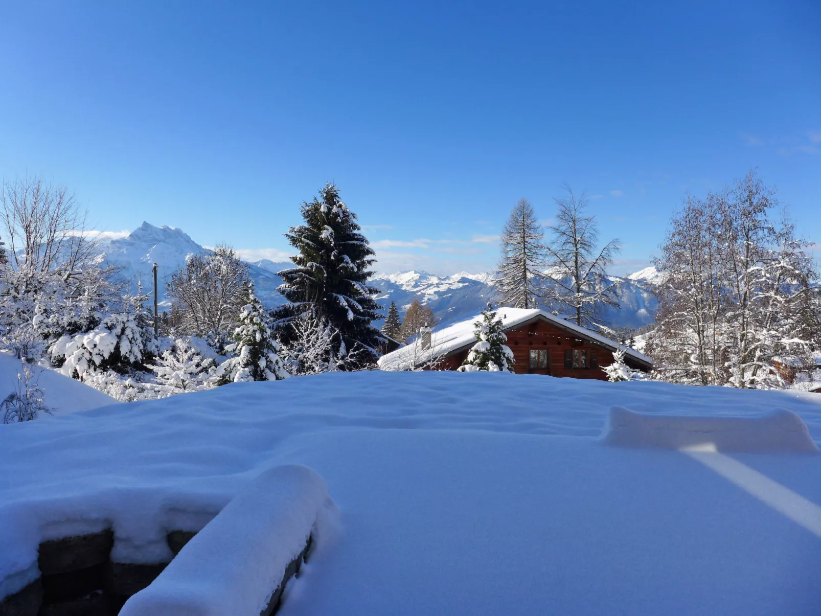 Chalet Petit Pont-Buiten