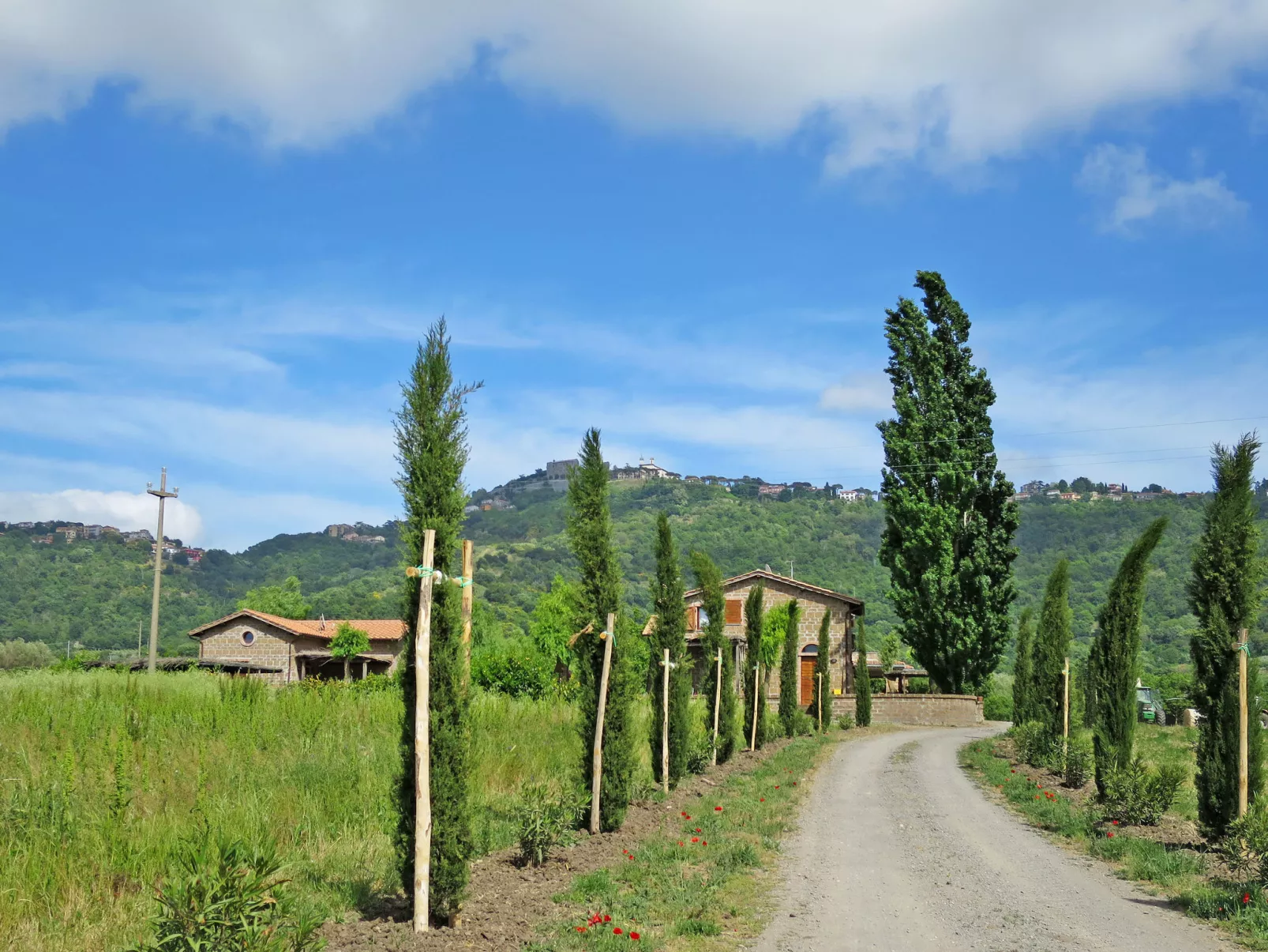 Casa Domenico n° 1-Buiten