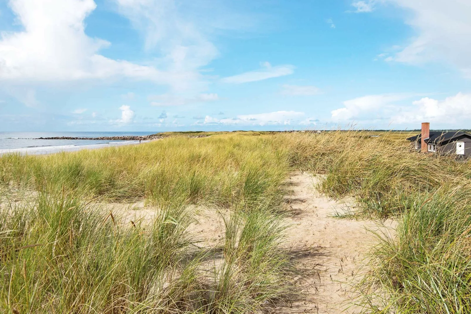 4 persoons vakantie huis in Blåvand