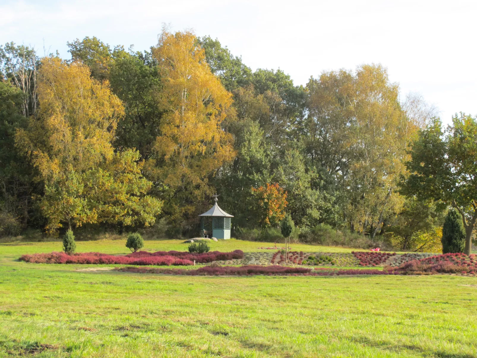 Nelke-Buiten