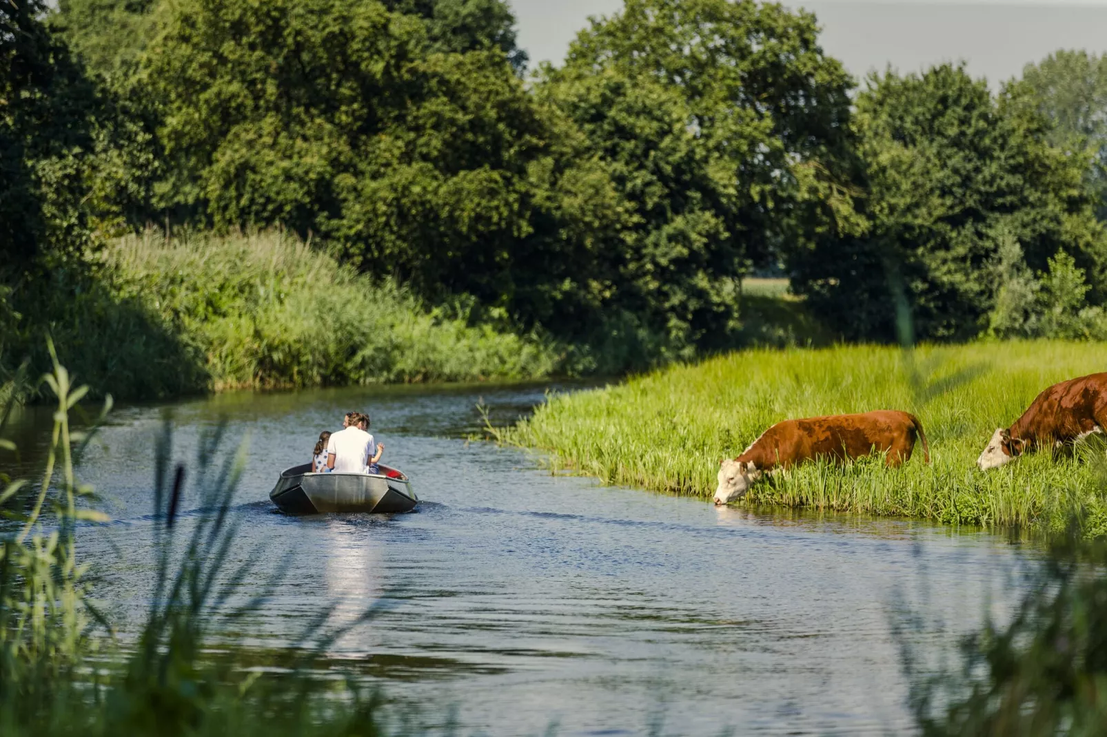 Vakantiepark Mölke 3-Gebieden zomer 1km