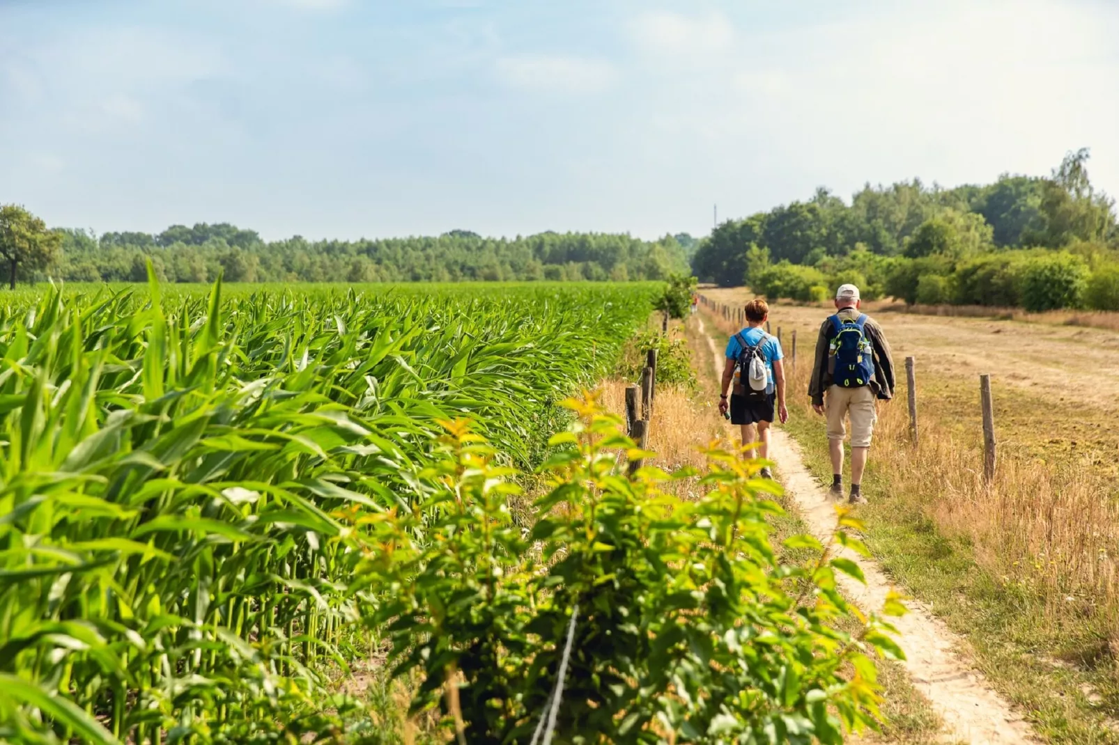 Vakantiepark Mölke 5-Gebieden zomer 1km