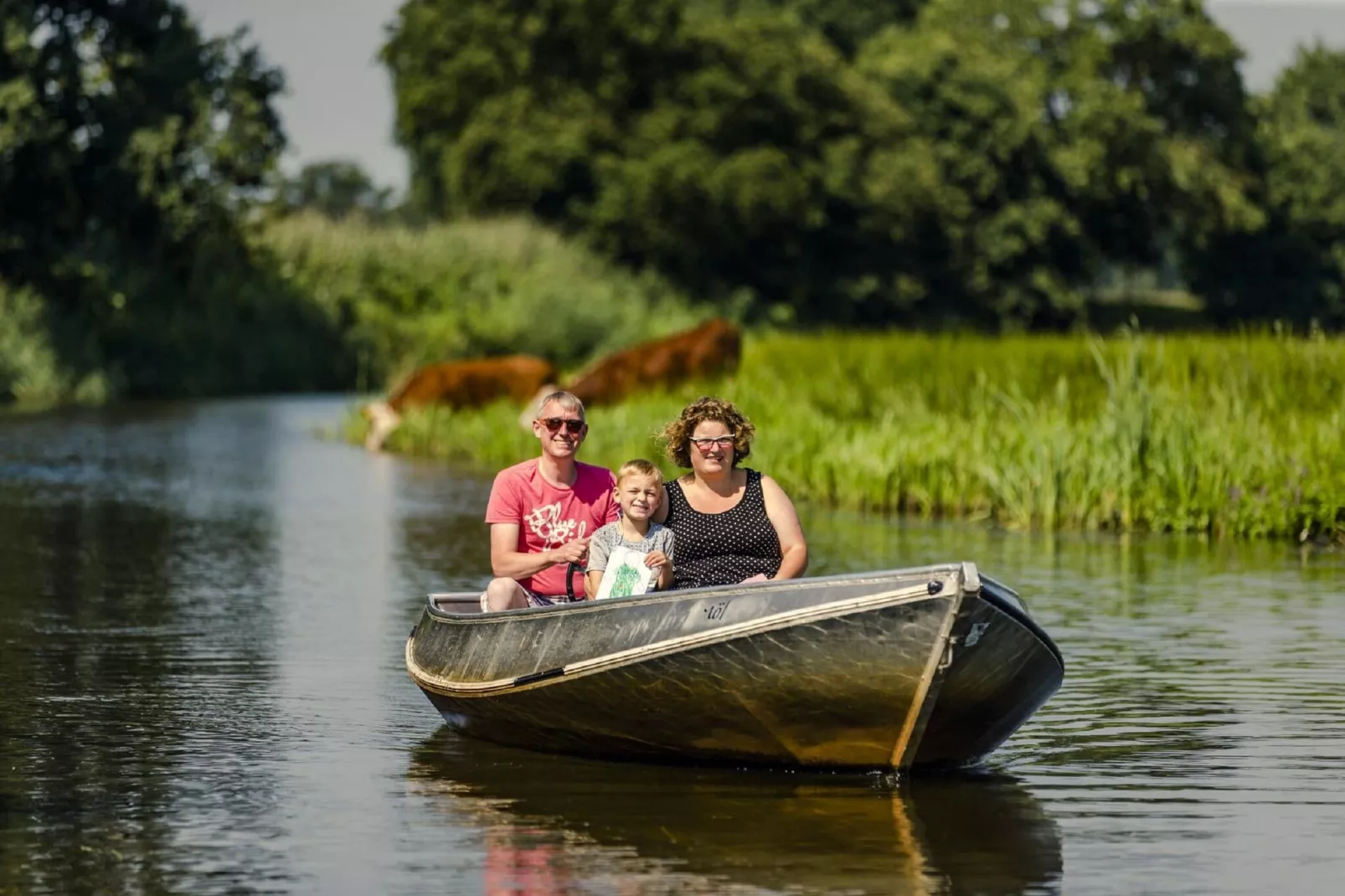 Vakantiepark Mölke 5-Gebieden zomer 1km