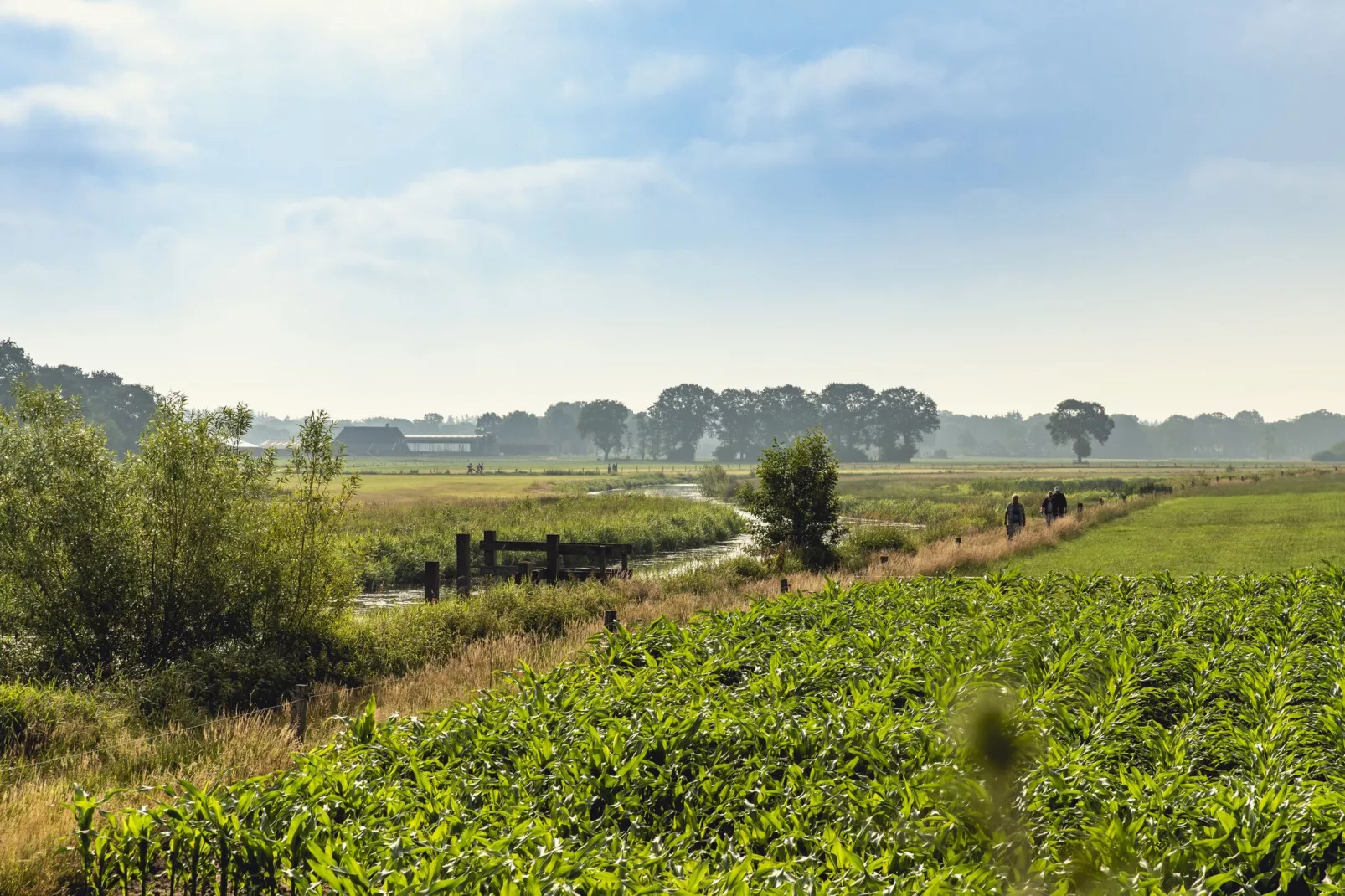 Vakantiepark Mölke 5-Gebieden zomer 1km