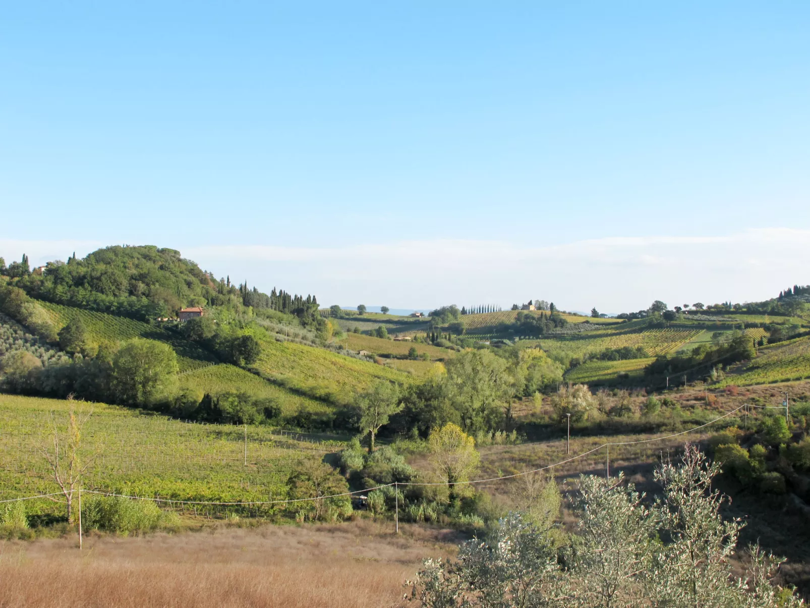 Tenuta - intero nucleo-Omgeving