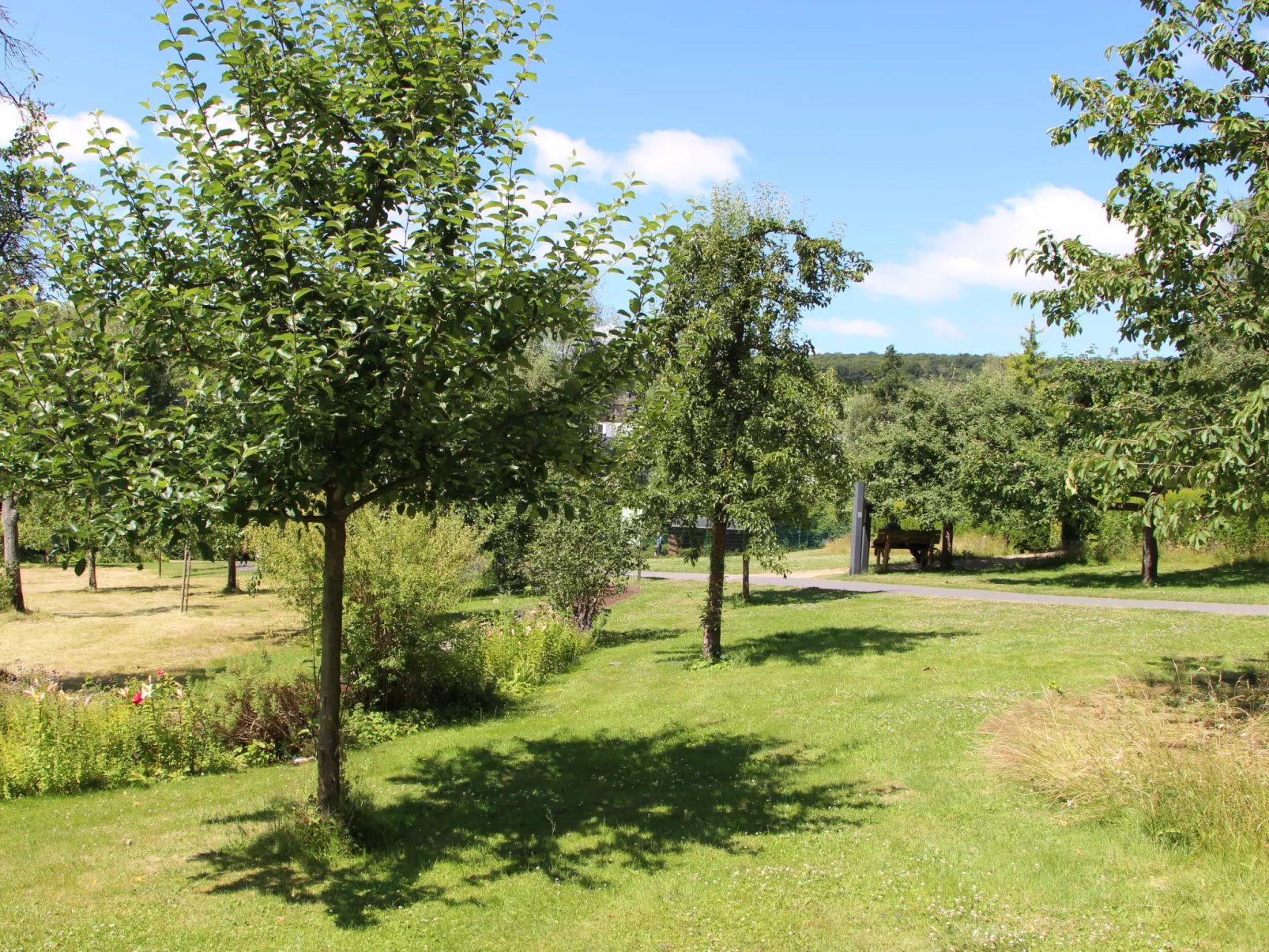 Tiny Haus Westerwald 16 Green-Omgeving