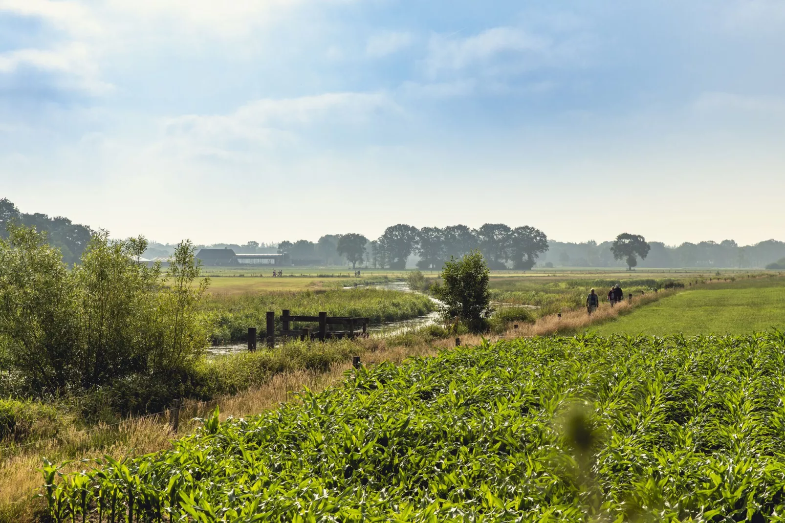 Vakantiepark Mölke 13-Gebieden zomer 1km