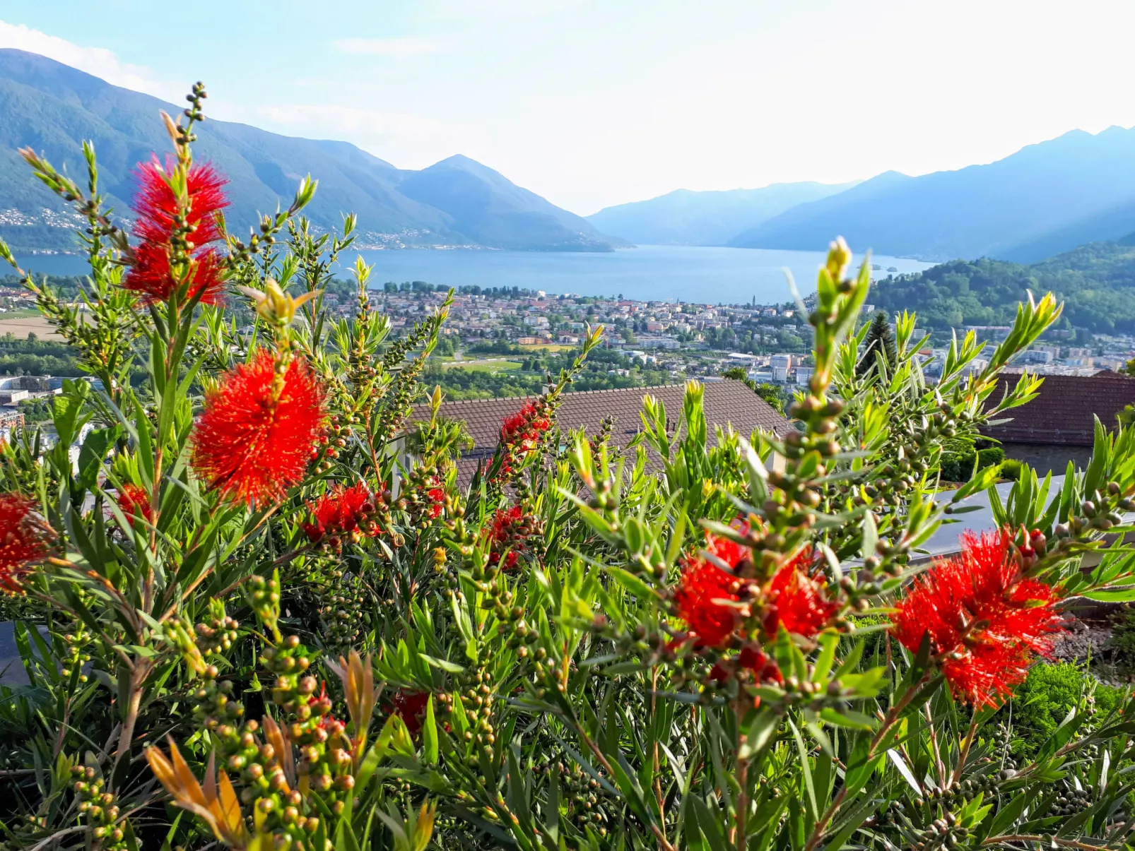 Vista Panorama-Buiten