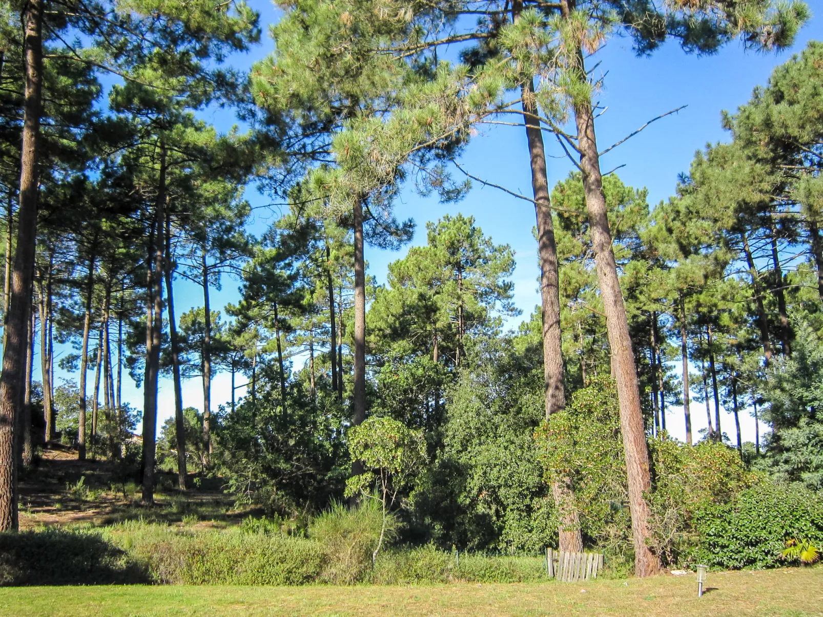 Eden Parc-Buiten