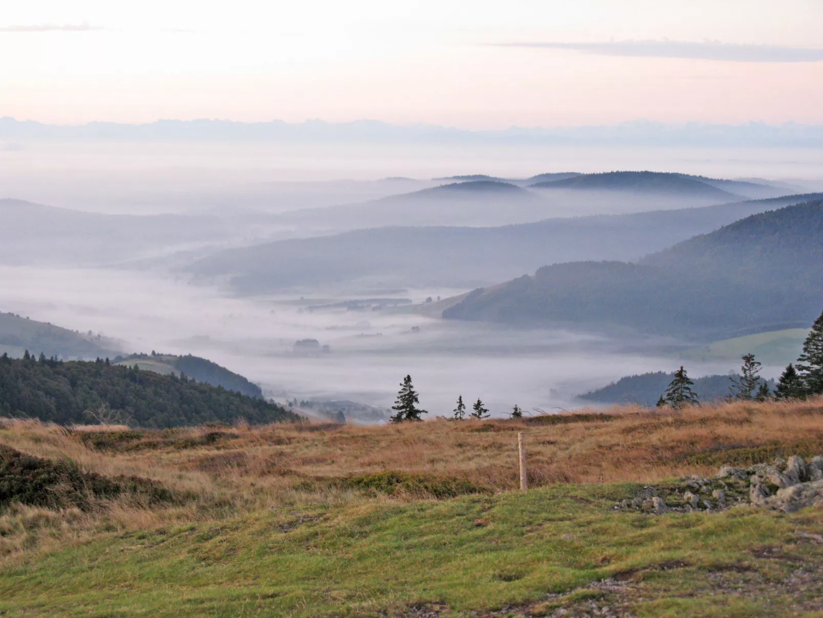 Schwarzwaldblick IV-Omgeving