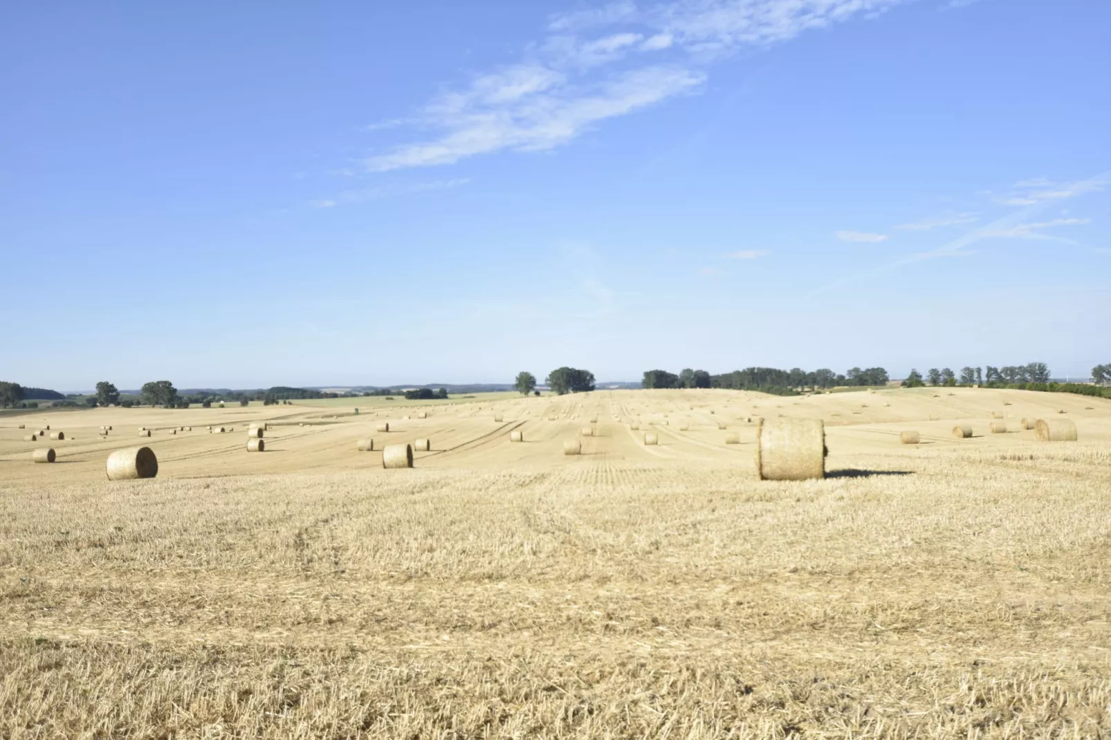 Ferienhaus Kröpelin-Gebieden zomer 1km